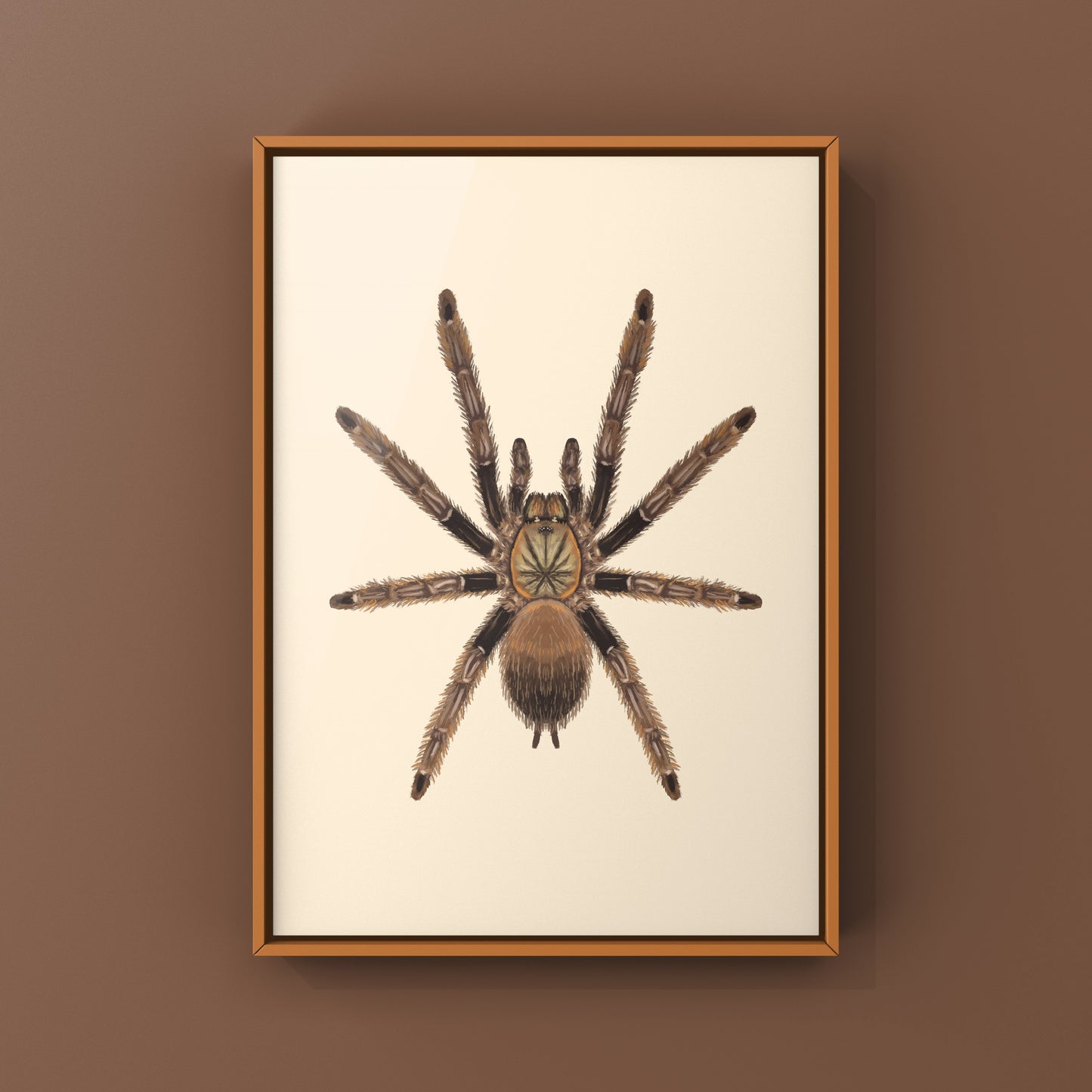 Colorful art print of a Psalmopoeus reduncus Costa Rican orange mouth tarantula by The Silk Ranch, showcasing detailed spider artwork.
