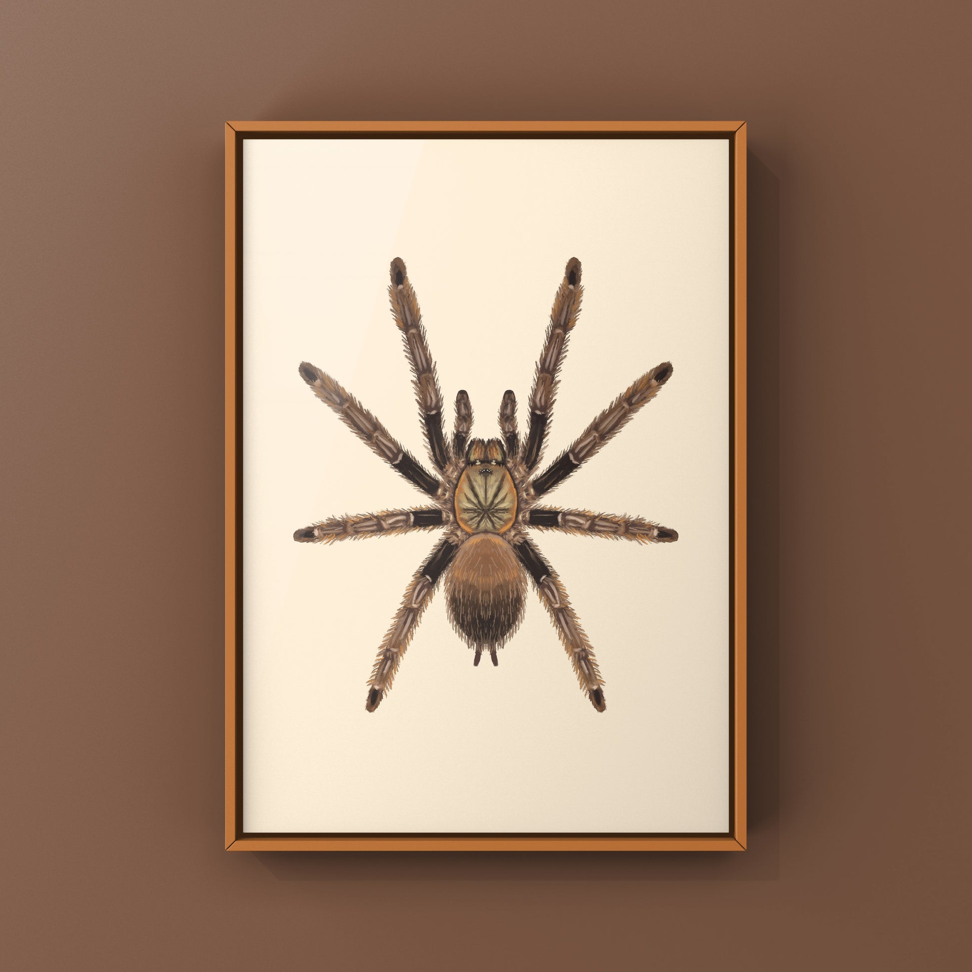 Colorful art print of a Psalmopoeus reduncus Costa Rican orange mouth tarantula by The Silk Ranch, showcasing detailed spider artwork.