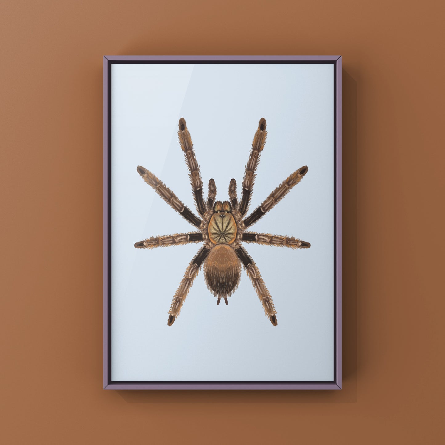 Colorful art print of a Costa Rican Orange Mouth Tarantula (Psalmopoeus reduncus) by The Silk Ranch, showcasing detailed spider artwork.