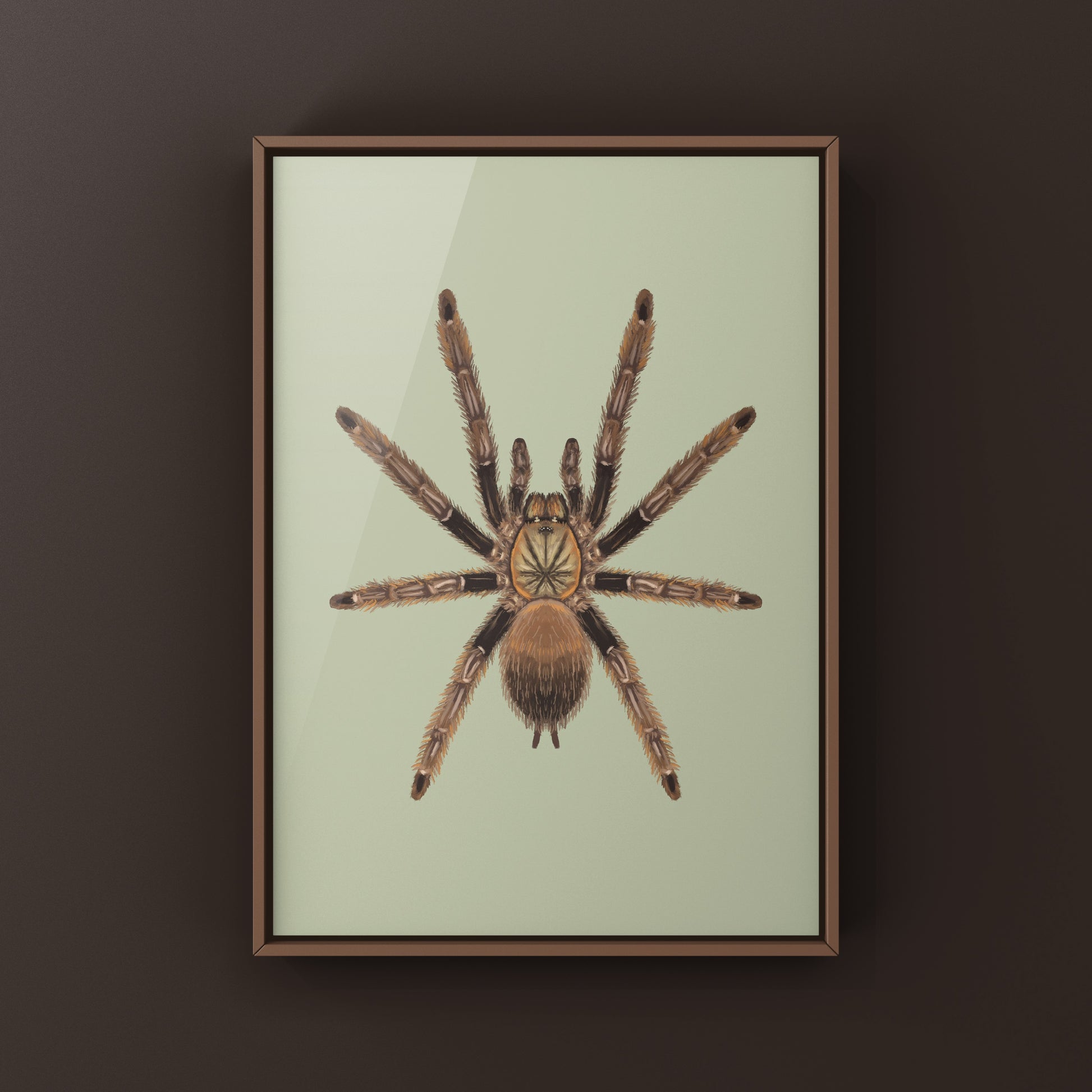 Colorful art print of a Psalmopoeus reduncus Costa Rican orange mouth tarantula by The Silk Ranch, showcasing detailed spider artwork.