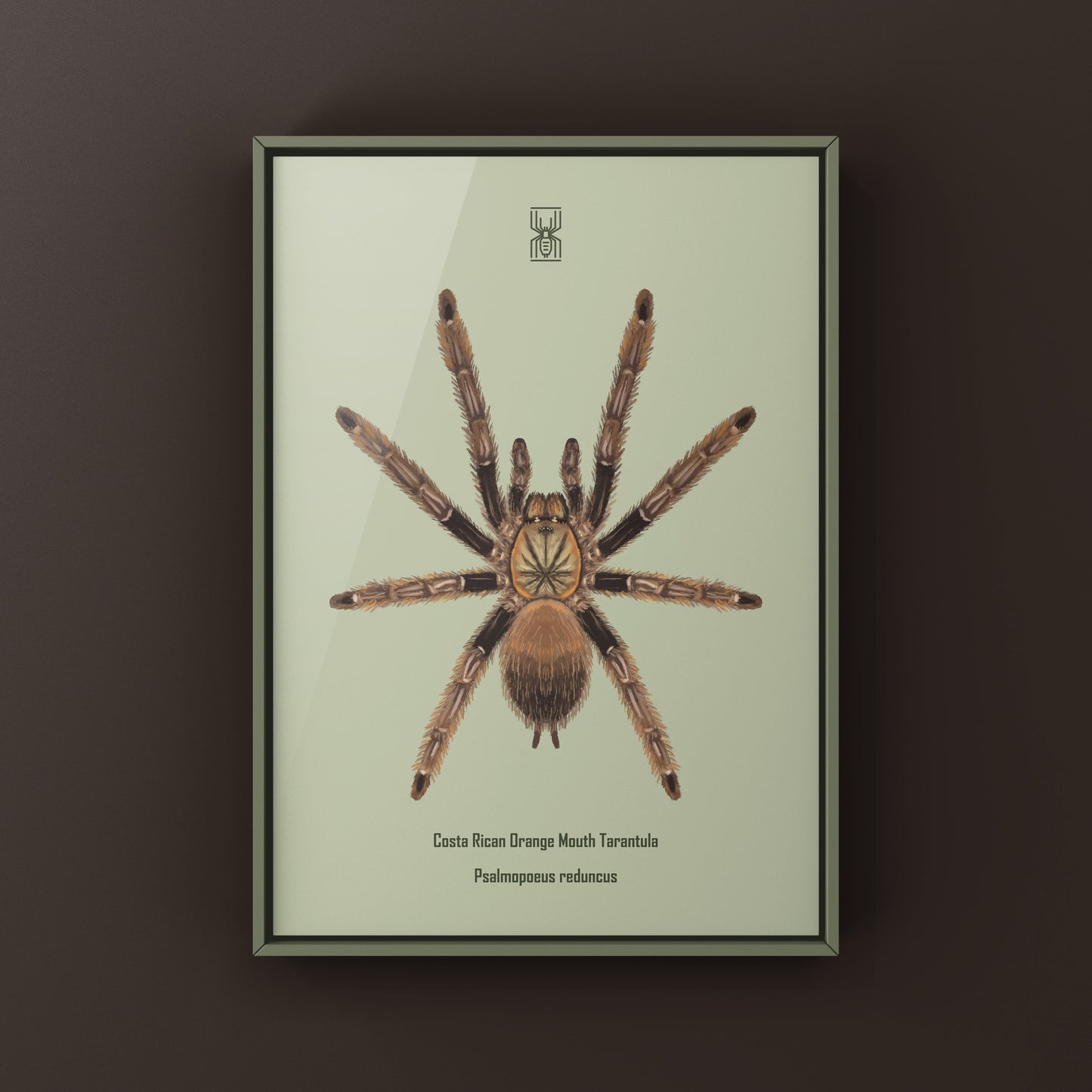 Costa Rican Orange Mouth Tarantula art print featuring Psalmopoeus reduncus by The Silk Ranch, showcasing vivid orange and black spider details.