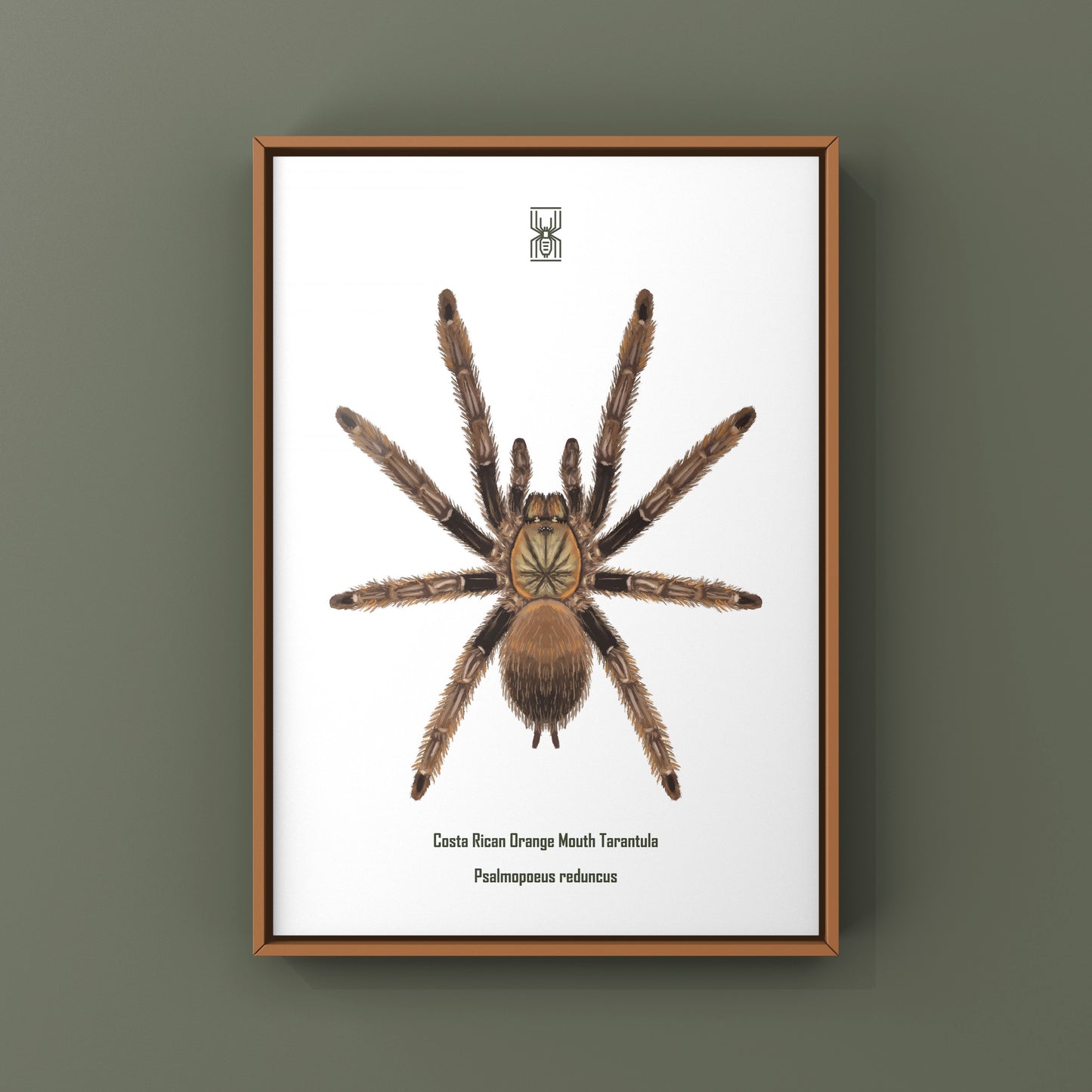 Costa Rican Orange Mouth Tarantula art print featuring Psalmopoeus reduncus, showcasing vibrant colors and detailed arachnid illustration.