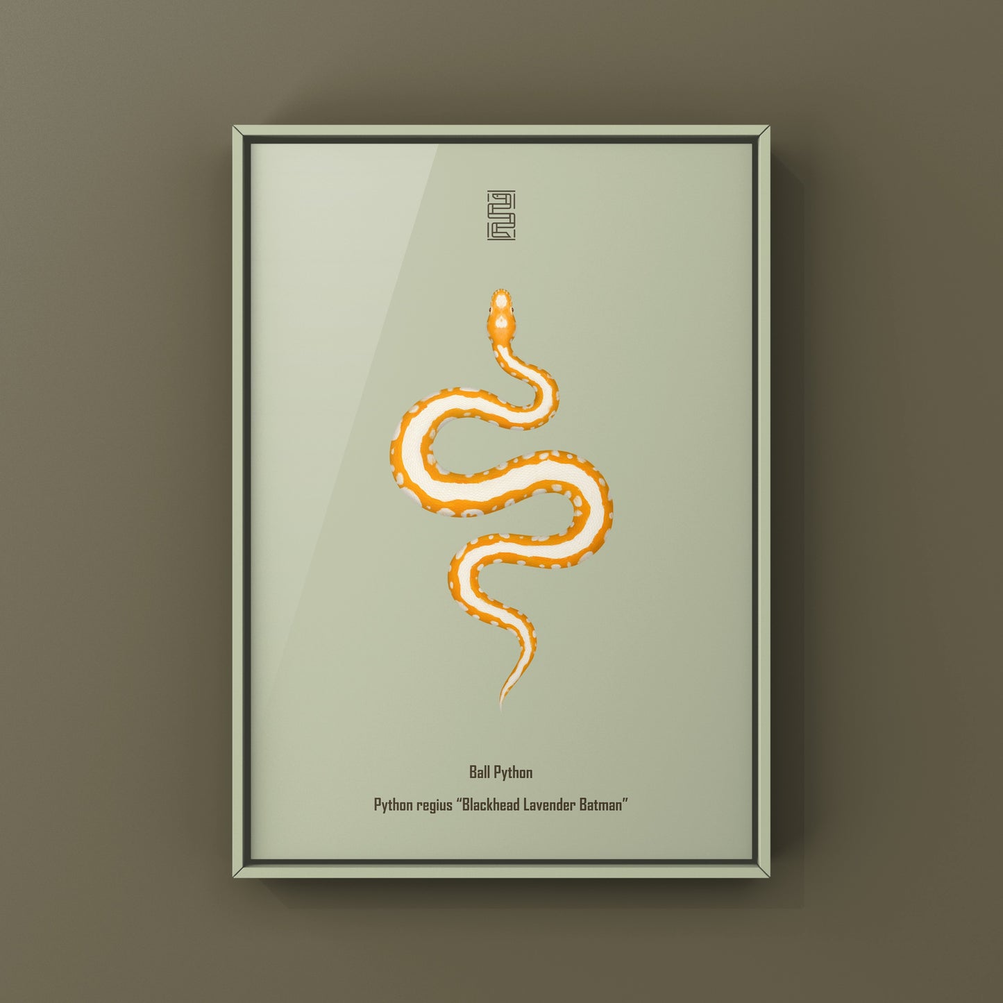 Blackhead Lavender Batman Ball Python art print by The Silk Ranch showcasing detailed Python regius artwork on a white background