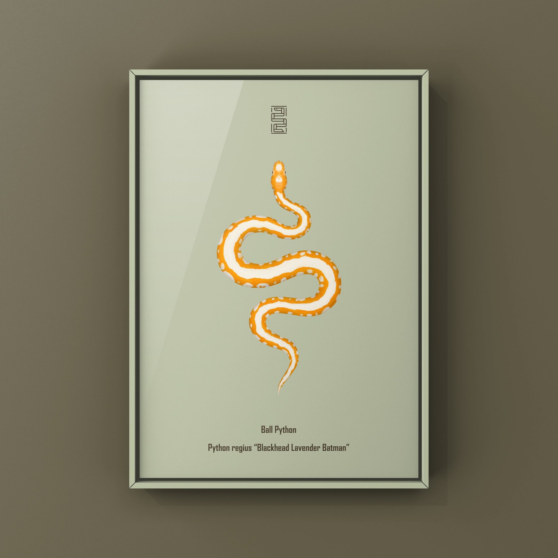 Blackhead Lavender Batman Ball Python art print by The Silk Ranch showcasing detailed Python regius artwork on a white background