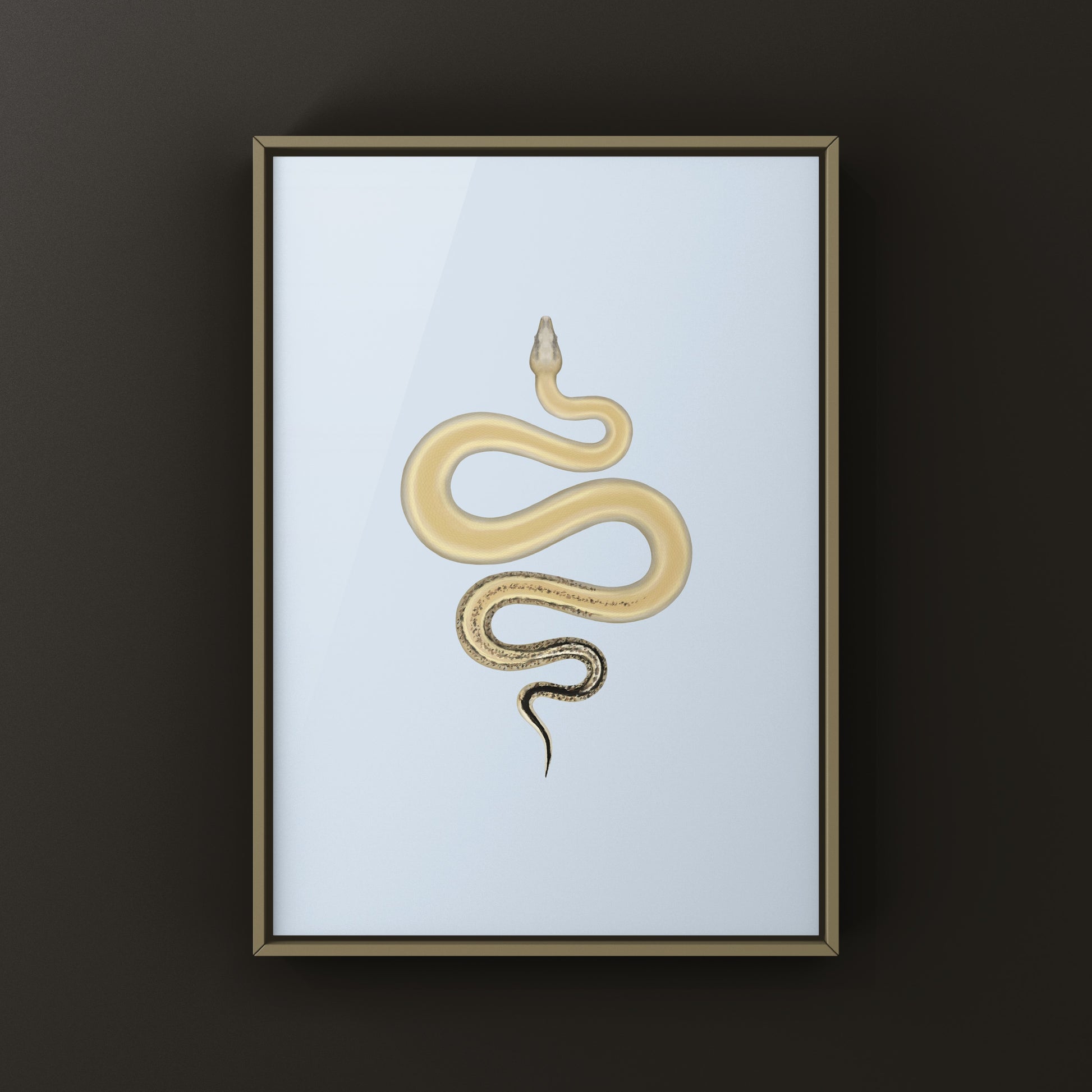 Sterling Colombian Red Tail Boa art print by The Silk Ranch, depicting a vibrant Boa imperator with intricate details.