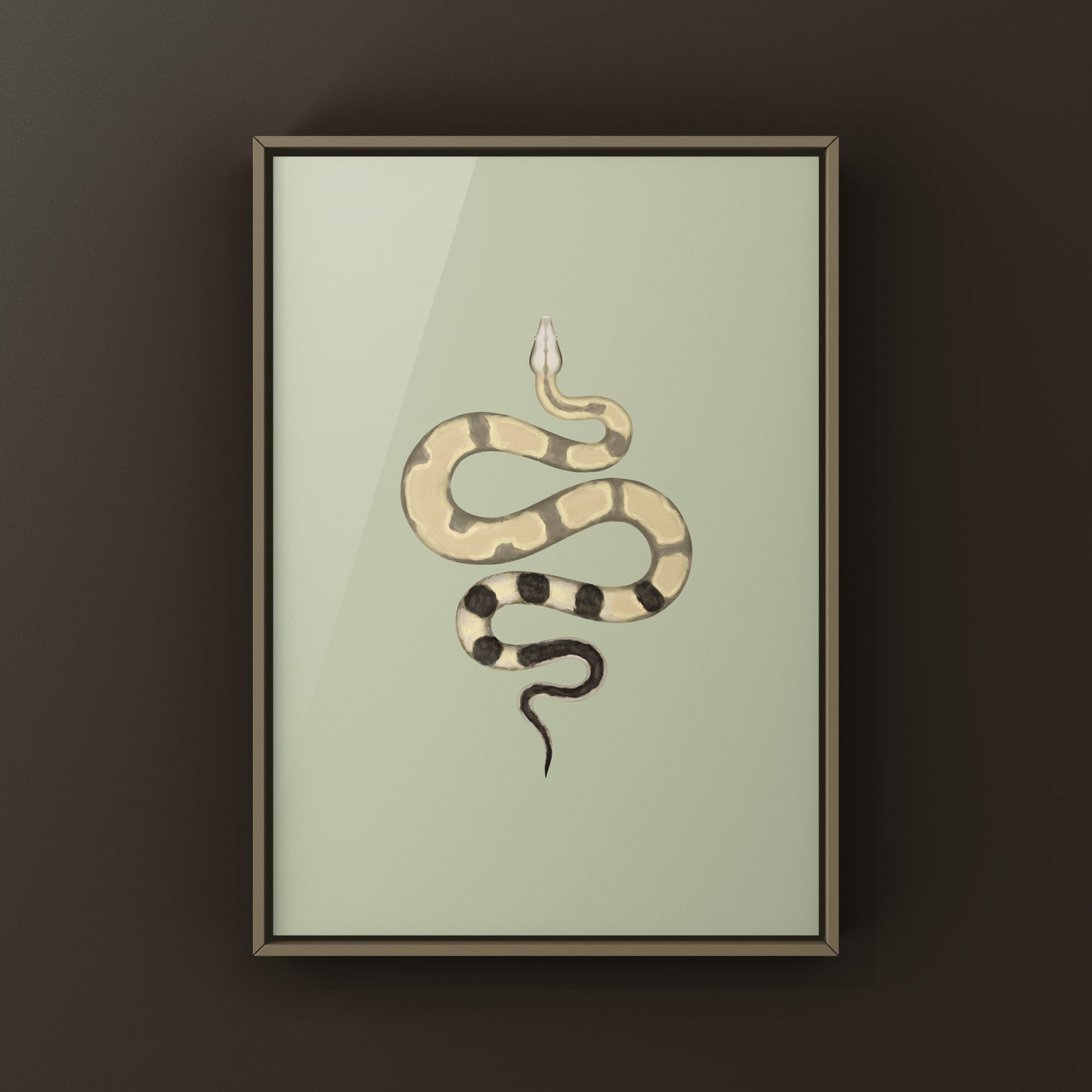 Colombian Red Tail Boa art print by The Silk Ranch featuring a vibrant boa imperator snake illustration.