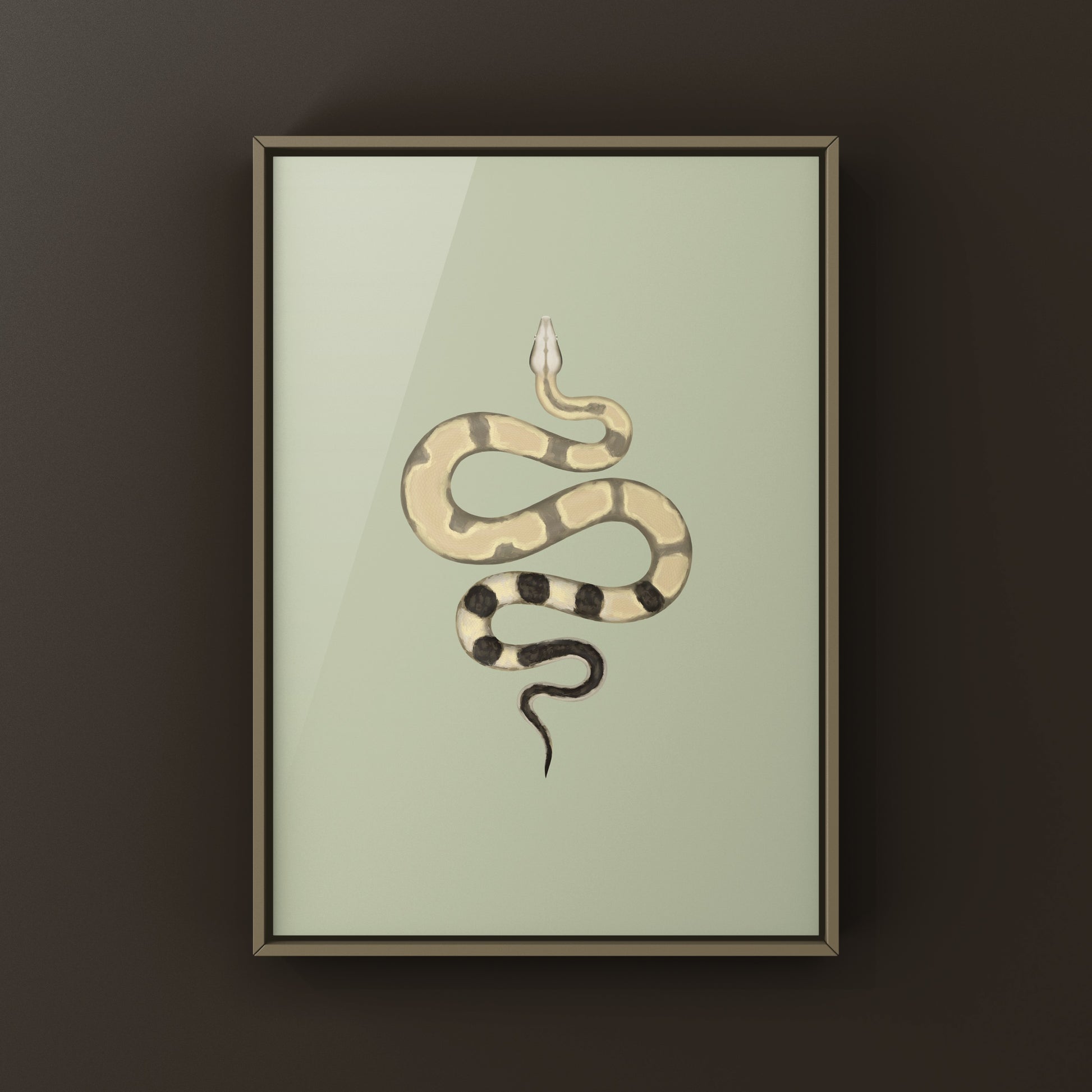 Colombian Red Tail Boa art print by The Silk Ranch featuring a vibrant boa imperator snake illustration.