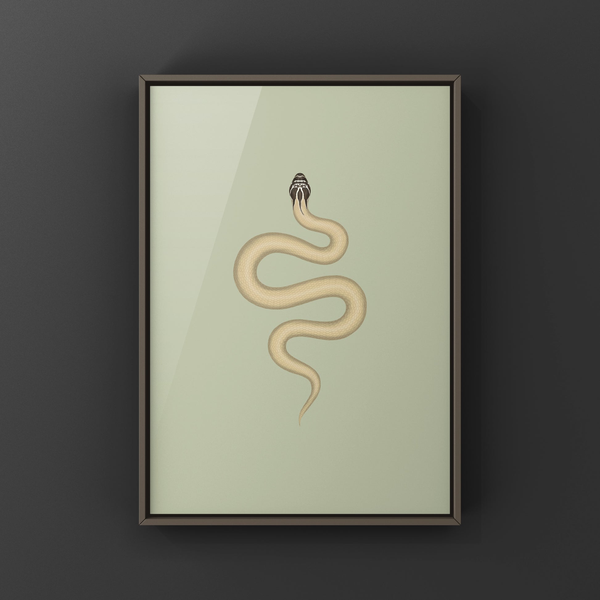 Western Hognose Snake art print featuring a detailed illustration of a Super Anaconda Heterodon nasicus by The Silk Ranch