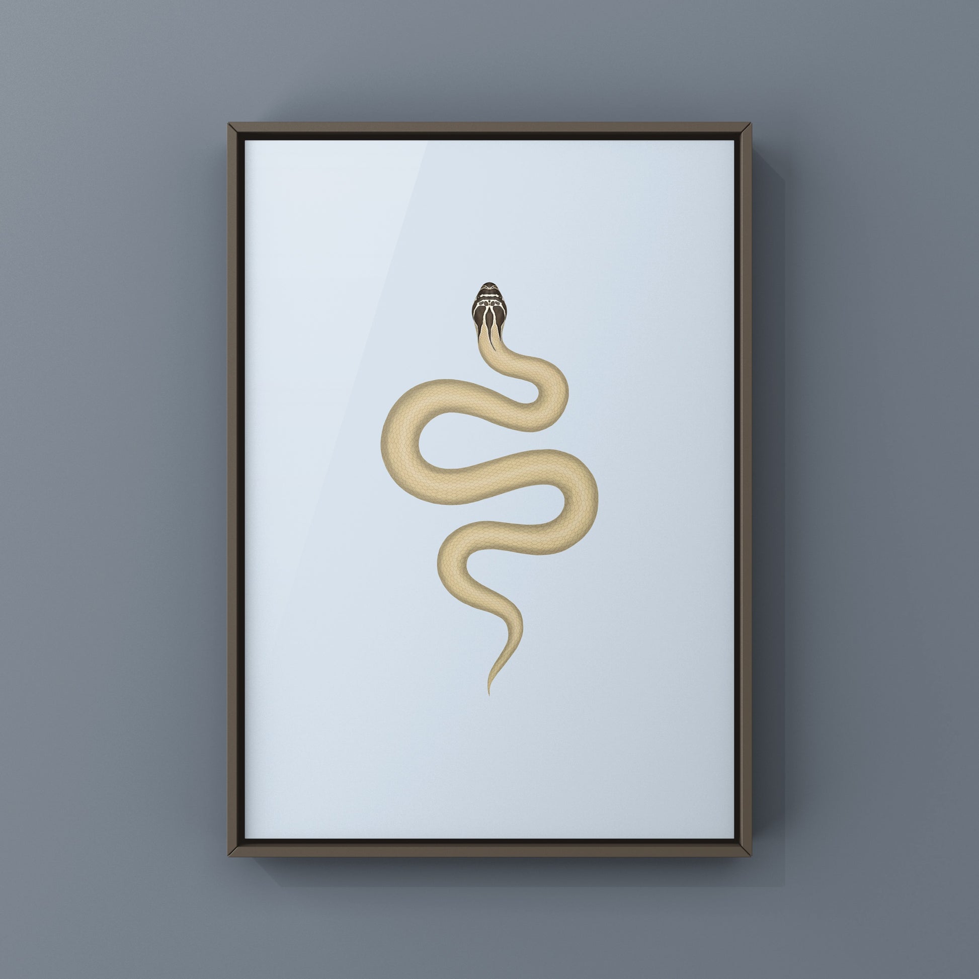 Western Hognose Snake art print featuring a Super Anaconda design by The Silk Ranch, showcasing detailed snake illustration.