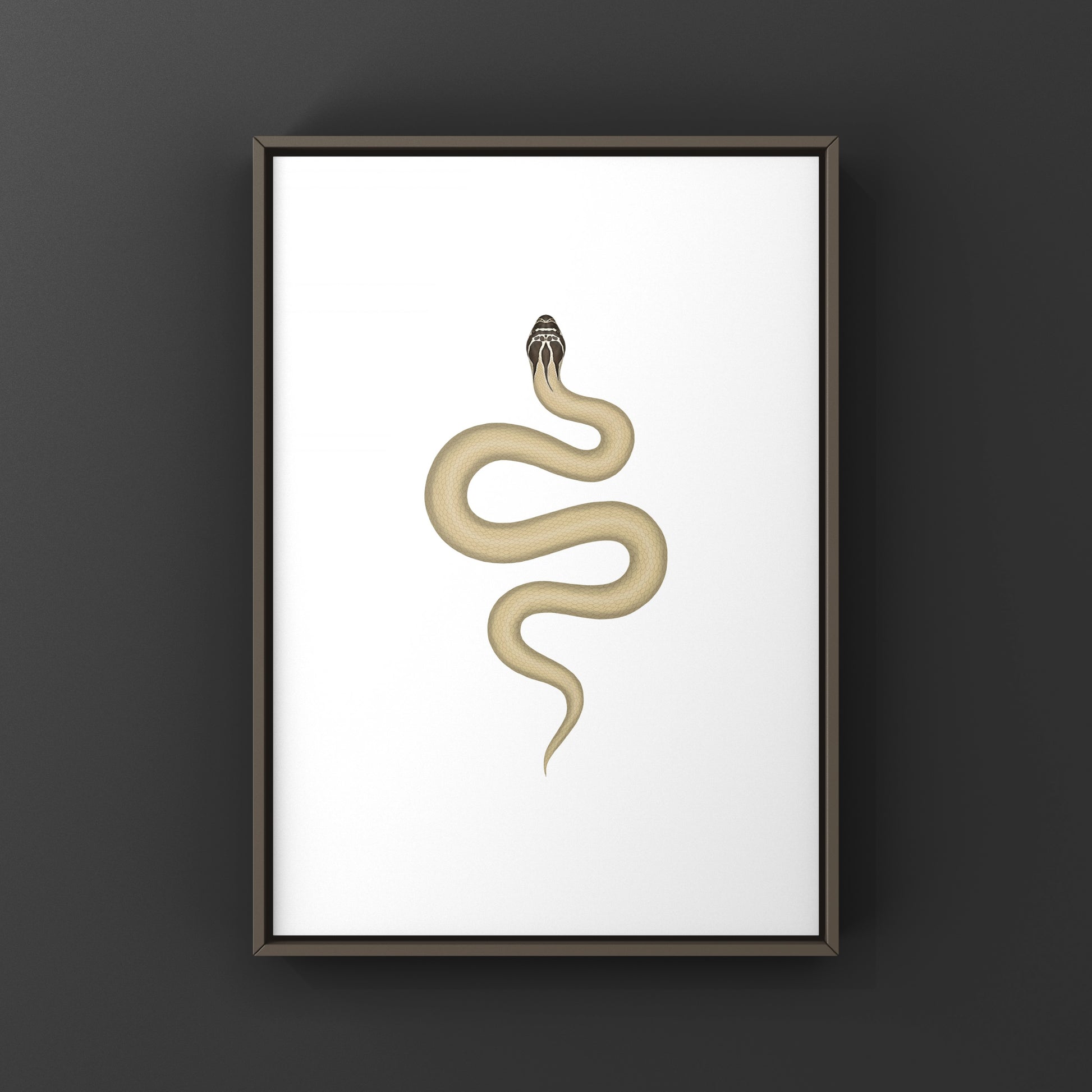 Western Hognose Snake art print featuring a Super Anaconda design by The Silk Ranch, showcasing detailed snake illustrations.