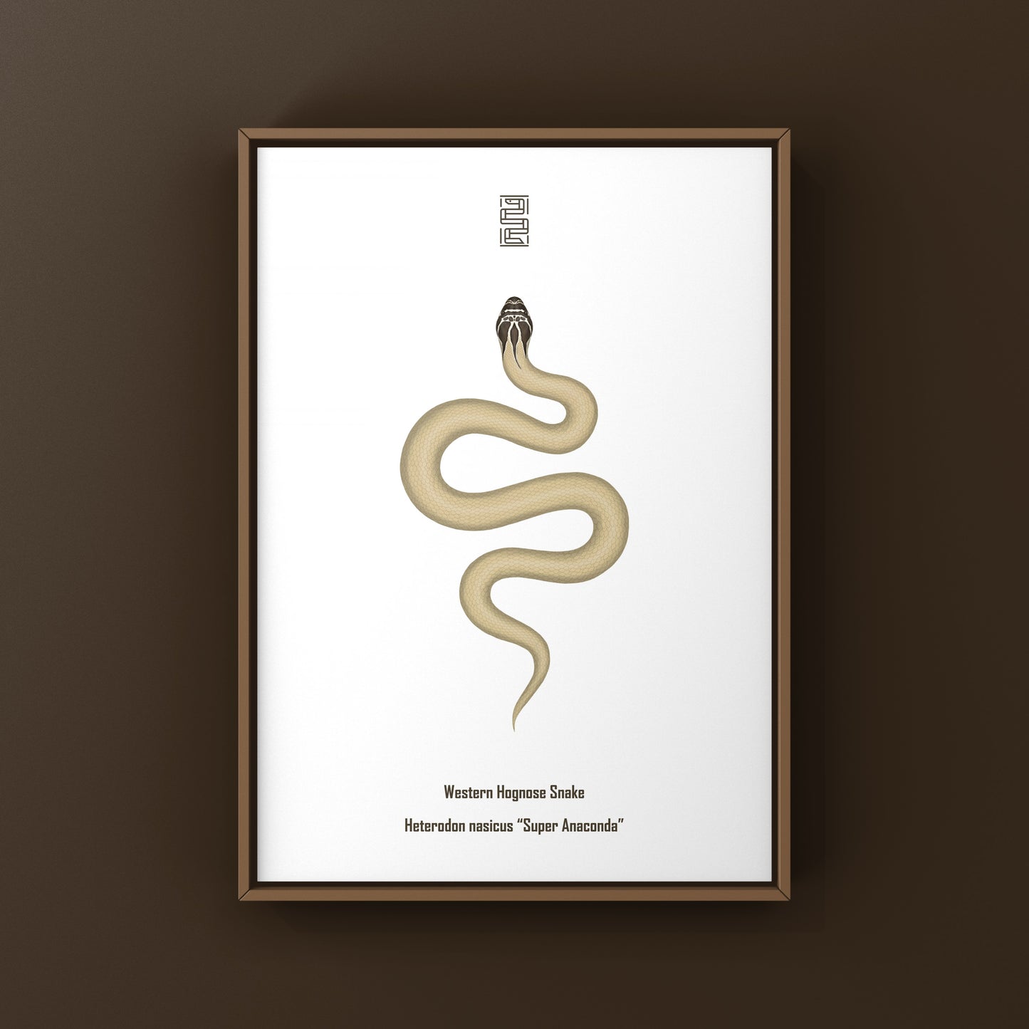 Western Hognose Snake art print featuring a Super Anaconda design, showcasing detailed illustration of Heterodon nasicus.
