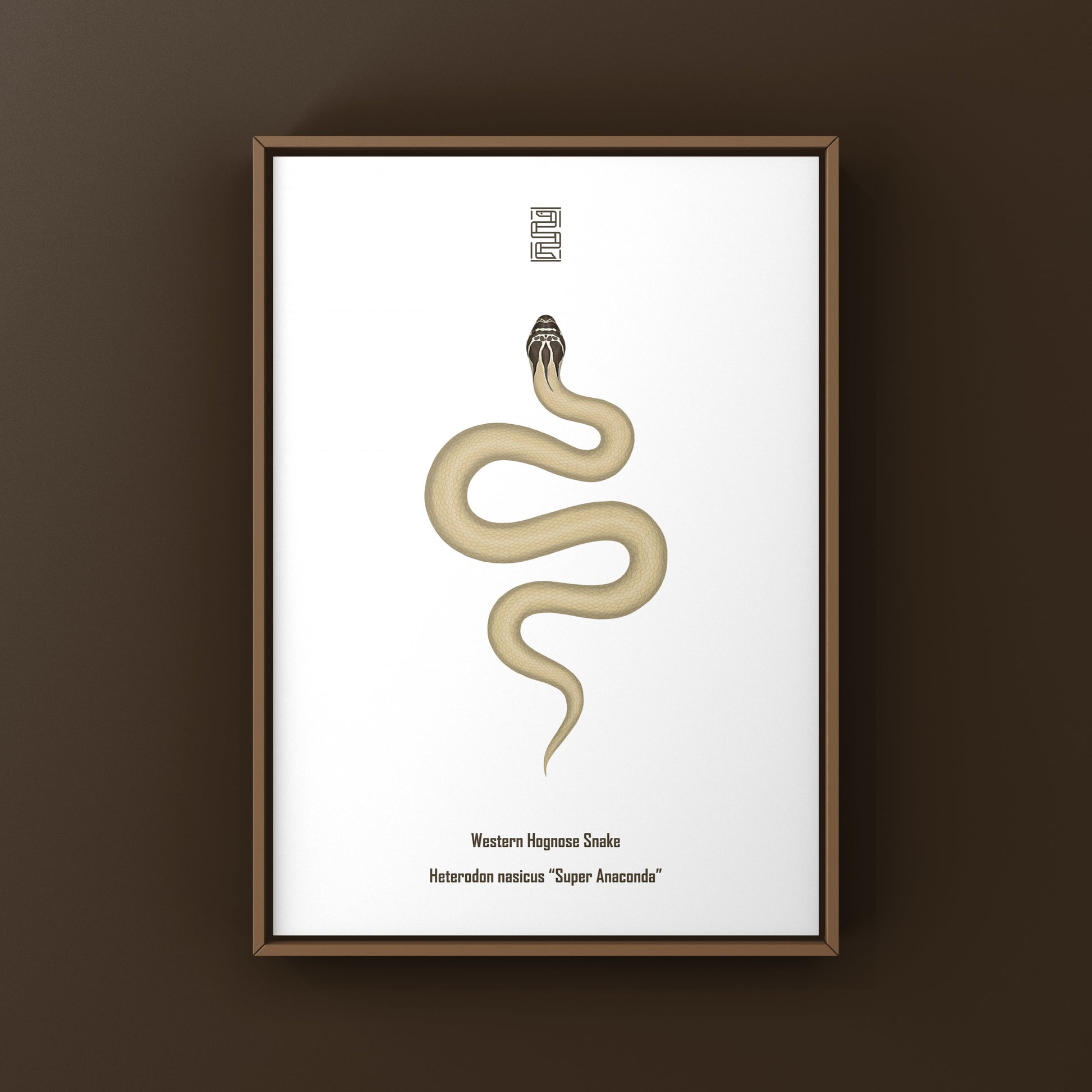 Western Hognose Snake art print featuring a Super Anaconda design, showcasing detailed illustration of Heterodon nasicus.
