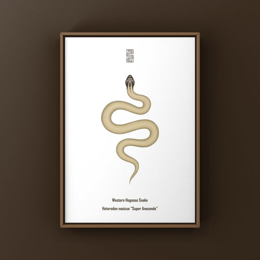 Western Hognose Snake art print featuring a Super Anaconda design, showcasing detailed illustration of Heterodon nasicus.