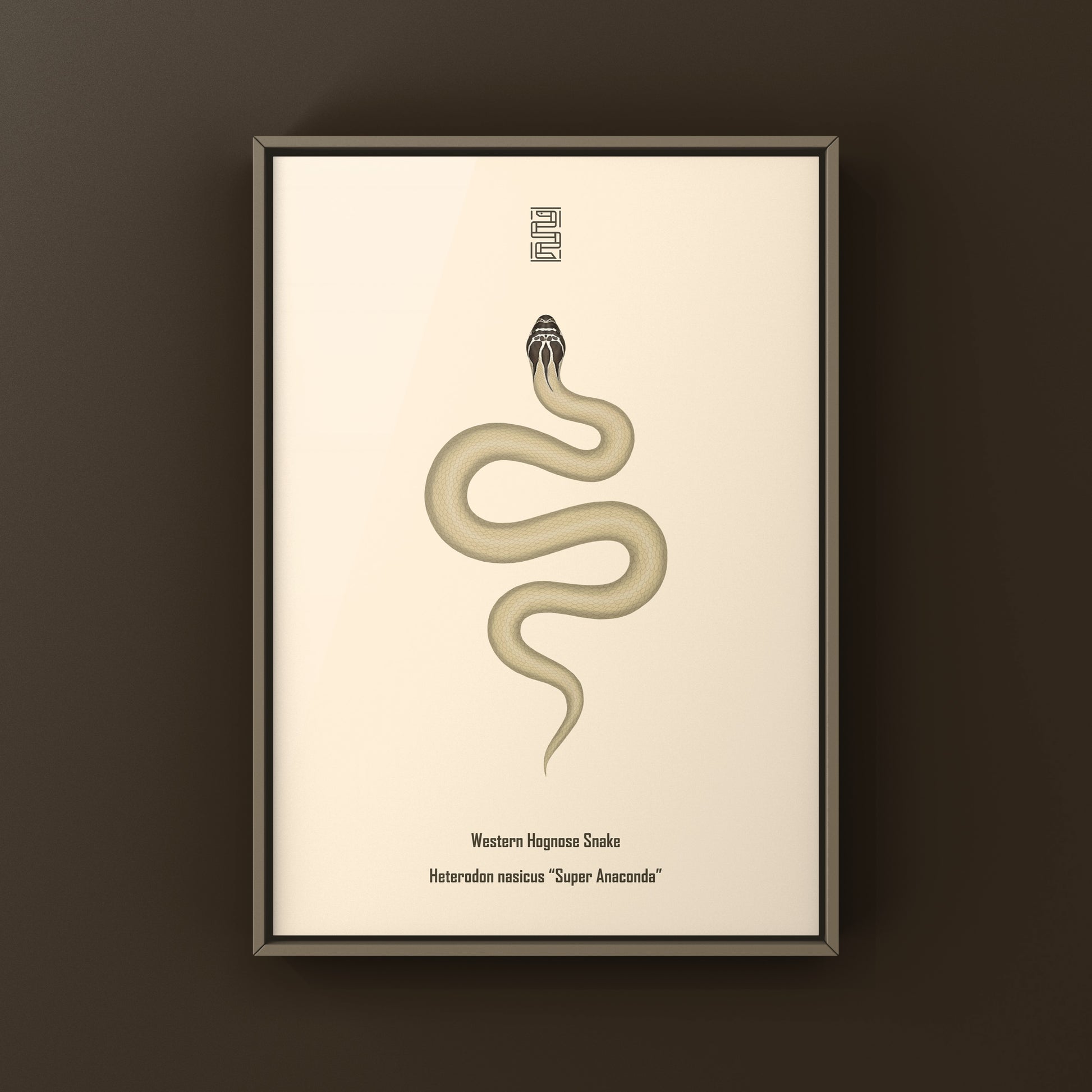 Western Hognose Snake art print featuring a Super Anaconda Heterodon nasicus by The Silk Ranch.
