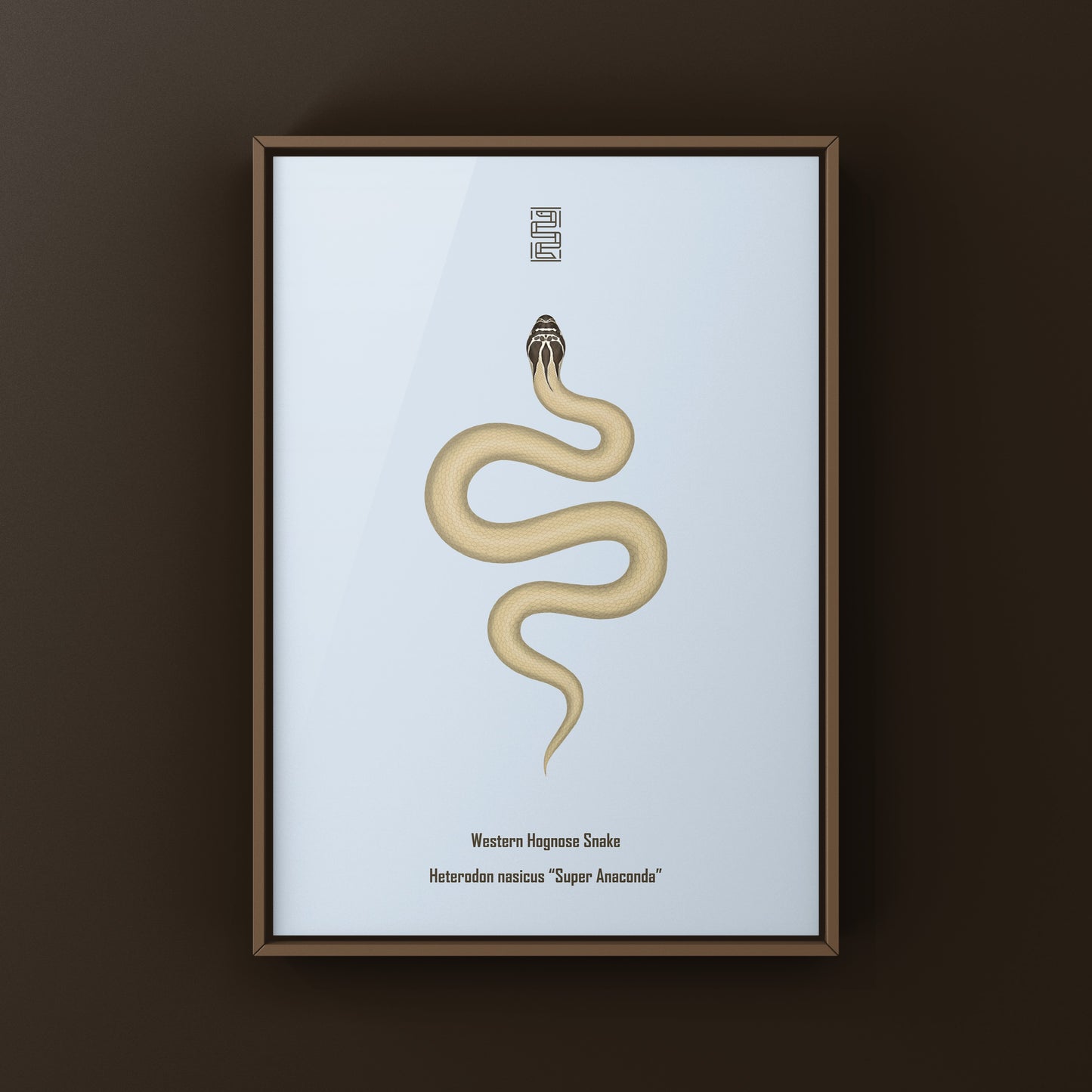 Western Hognose Snake art print featuring a detailed illustration of a Super Anaconda Heterodon nasicus by The Silk Ranch.
