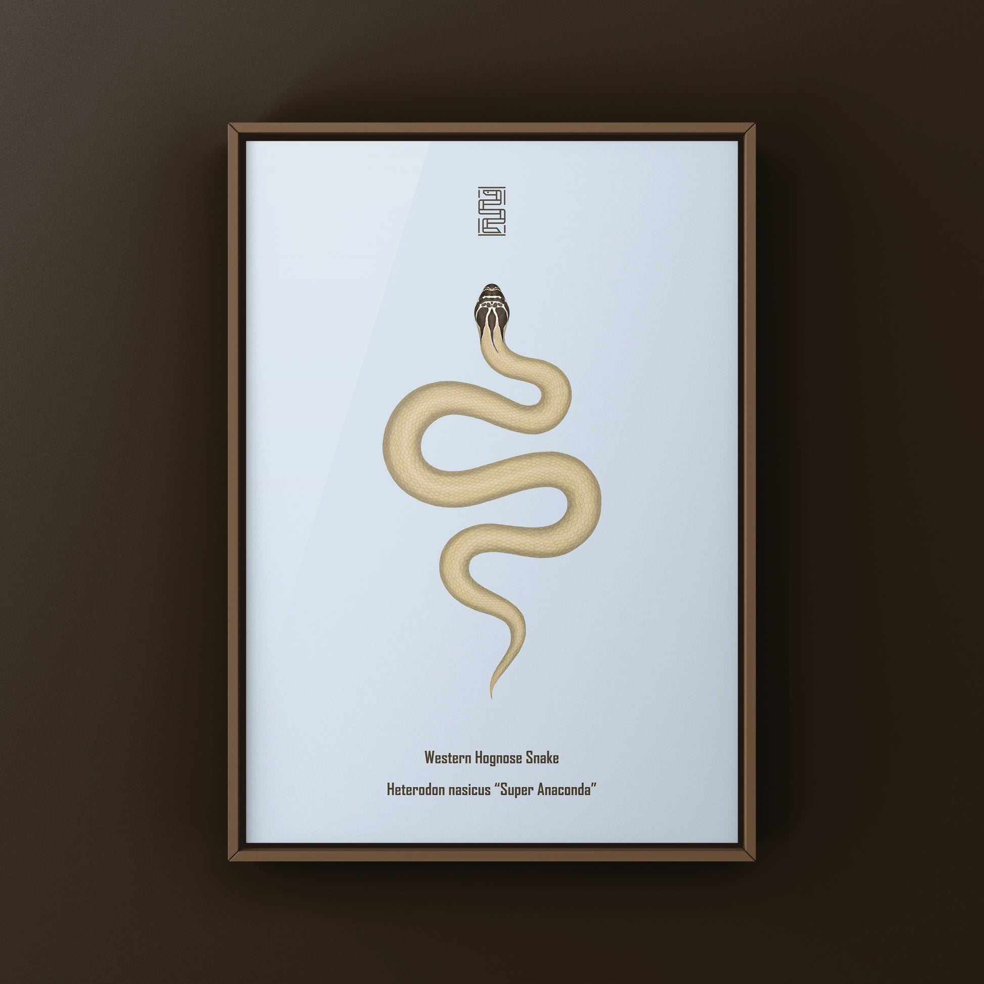 Western Hognose Snake art print featuring a detailed illustration of a Super Anaconda Heterodon nasicus by The Silk Ranch.