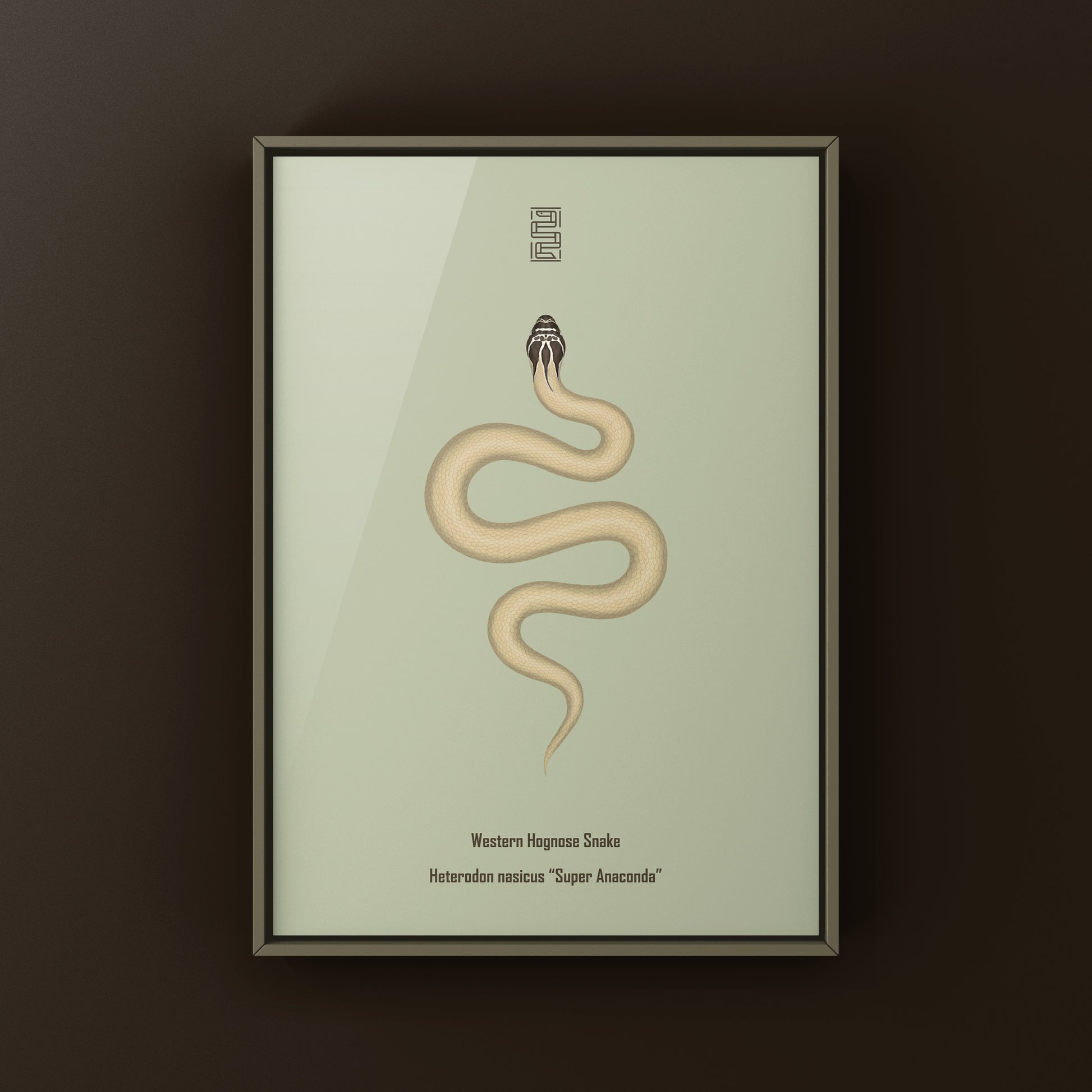 Western Hognose Snake art print featuring a Super Anaconda design by The Silk Ranch, showcasing detailed snake illustration.