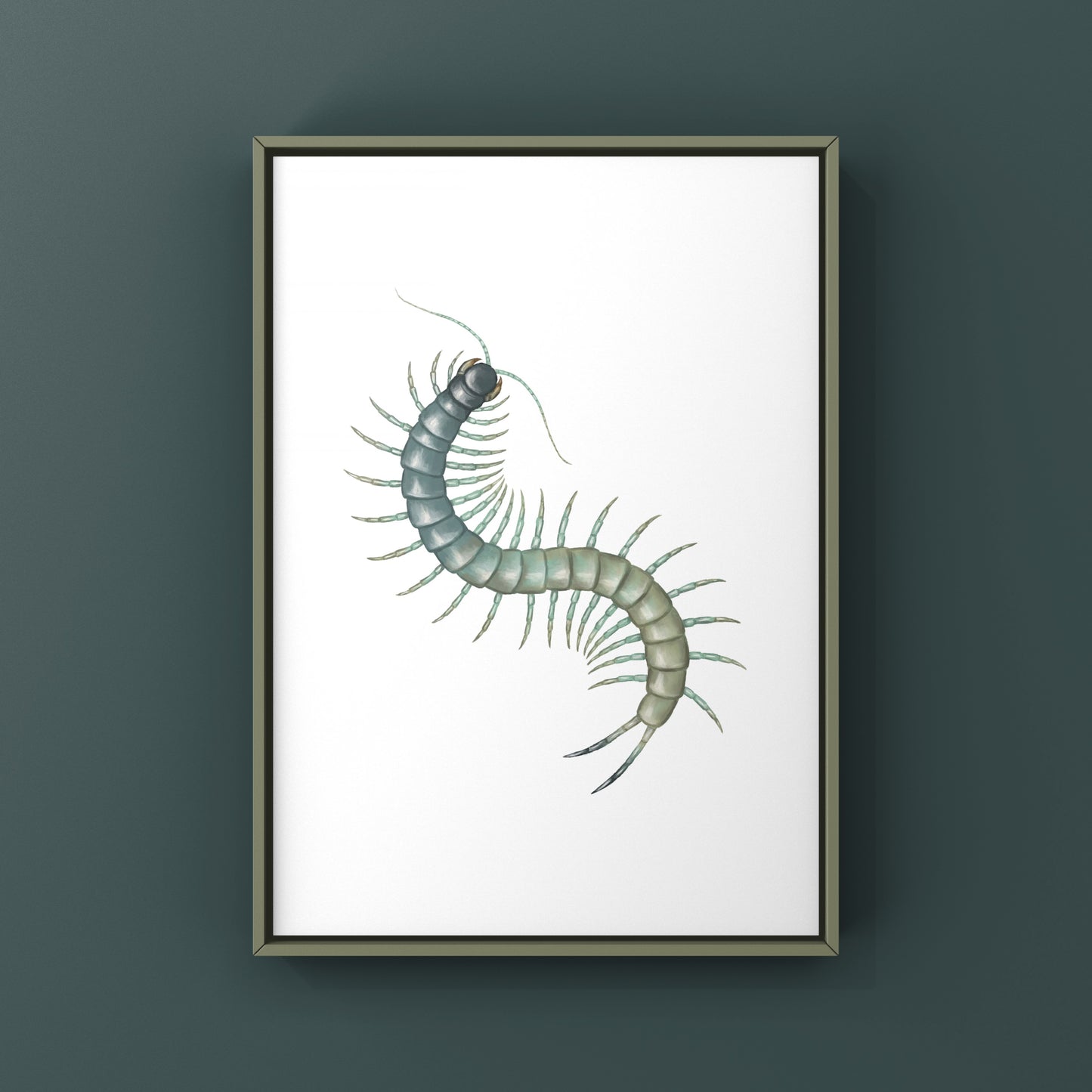 Aztec Blue Centipede art print by The Silk Ranch showcasing a detailed illustration of the Scolopendra aztecorum on white background.