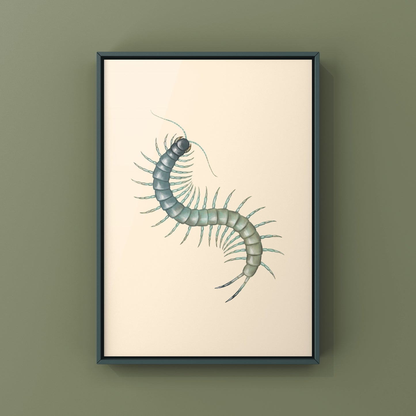 Aztec Blue Centipede art print by The Silk Ranch depicting a colorful Scolopendra aztecorum centipede on a neutral background.