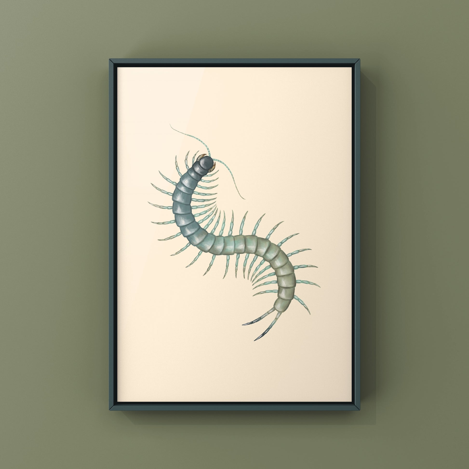 Aztec Blue Centipede art print by The Silk Ranch depicting a colorful Scolopendra aztecorum centipede on a neutral background.
