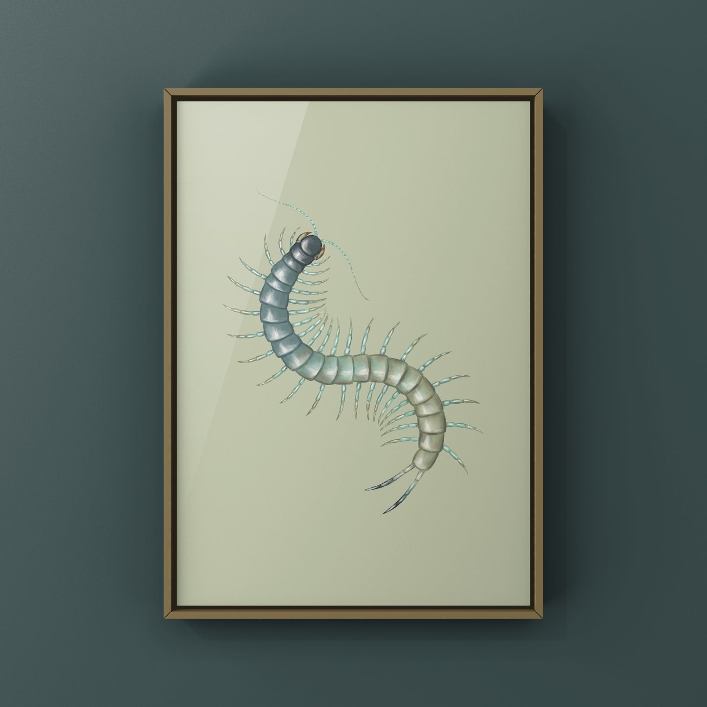 Aztec Blue Centipede art print by The Silk Ranch showing a detailed illustration of a Scolopendra aztecorum centipede on a white background