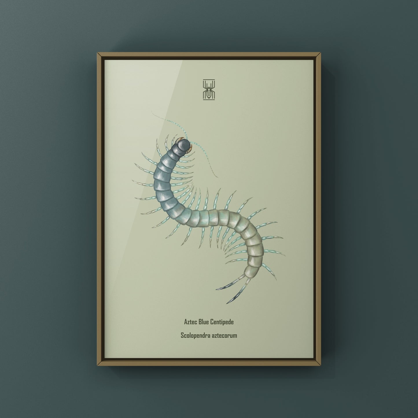 Aztec Blue Centipede art print by The Silk Ranch, showcasing detailed Scolopendra aztecorum illustration on textured paper.