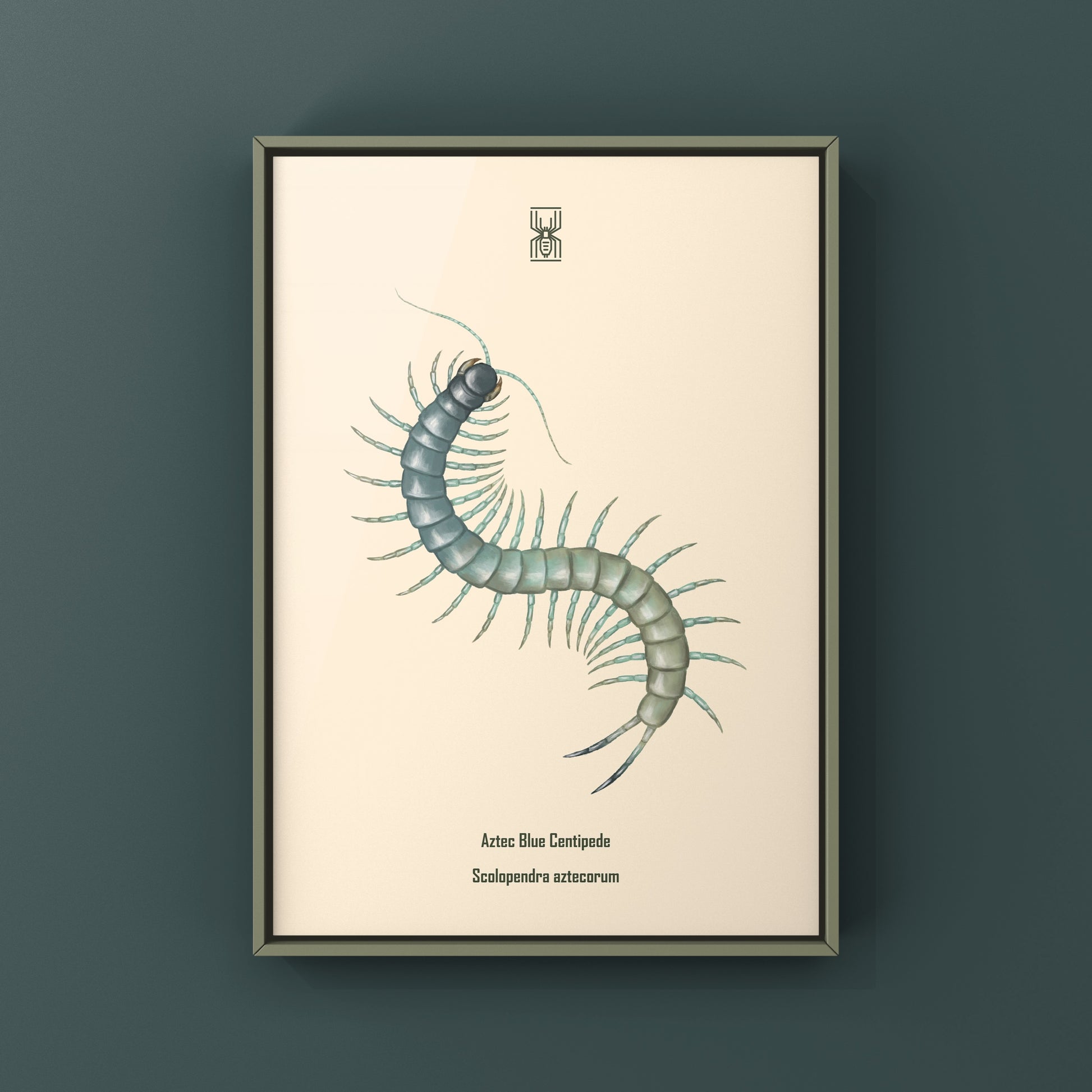 Aztec blue centipede art print by The Silk Ranch, showcasing detailed illustration of Scolopendra aztecorum on a neutral background.