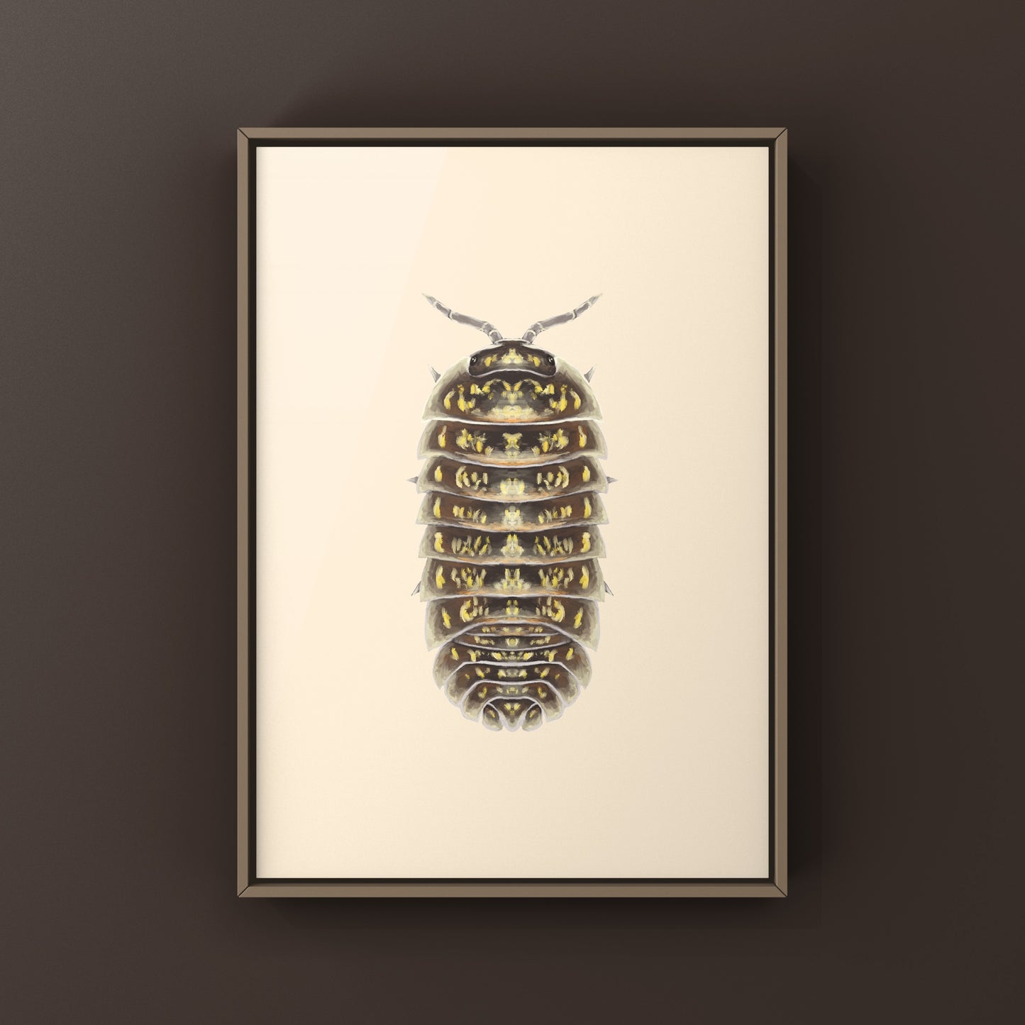 Variegated Pill Isopod Armadillidium versicolor art print showing detailed illustration of colorful isopod on white background