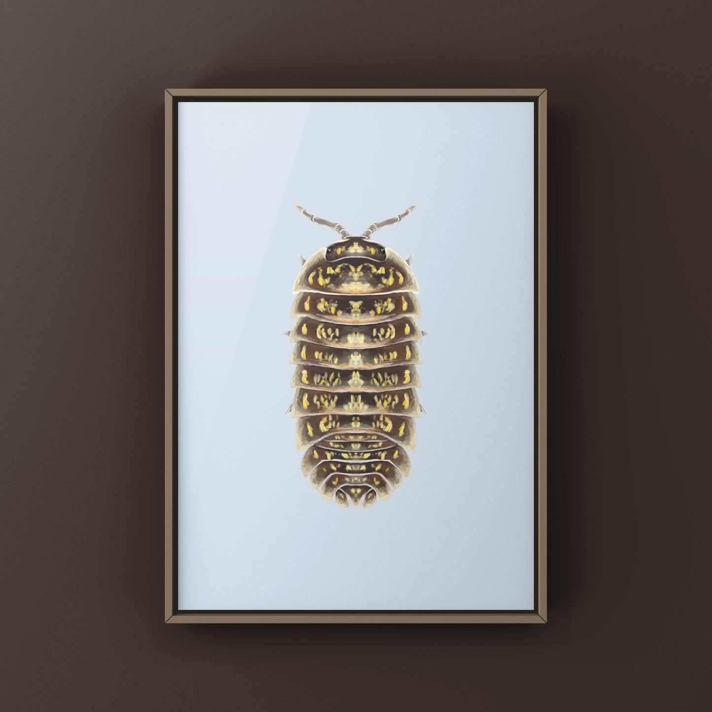 Colorful variegated Pill Isopod Armadillidium versicolor art print by The Silk Ranch, showcasing vibrant details of the species.