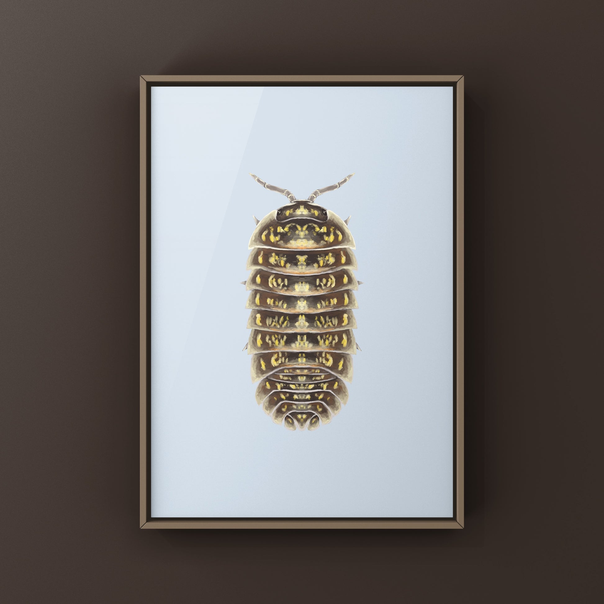 Colorful variegated Pill Isopod Armadillidium versicolor art print by The Silk Ranch, showcasing vibrant details of the species.