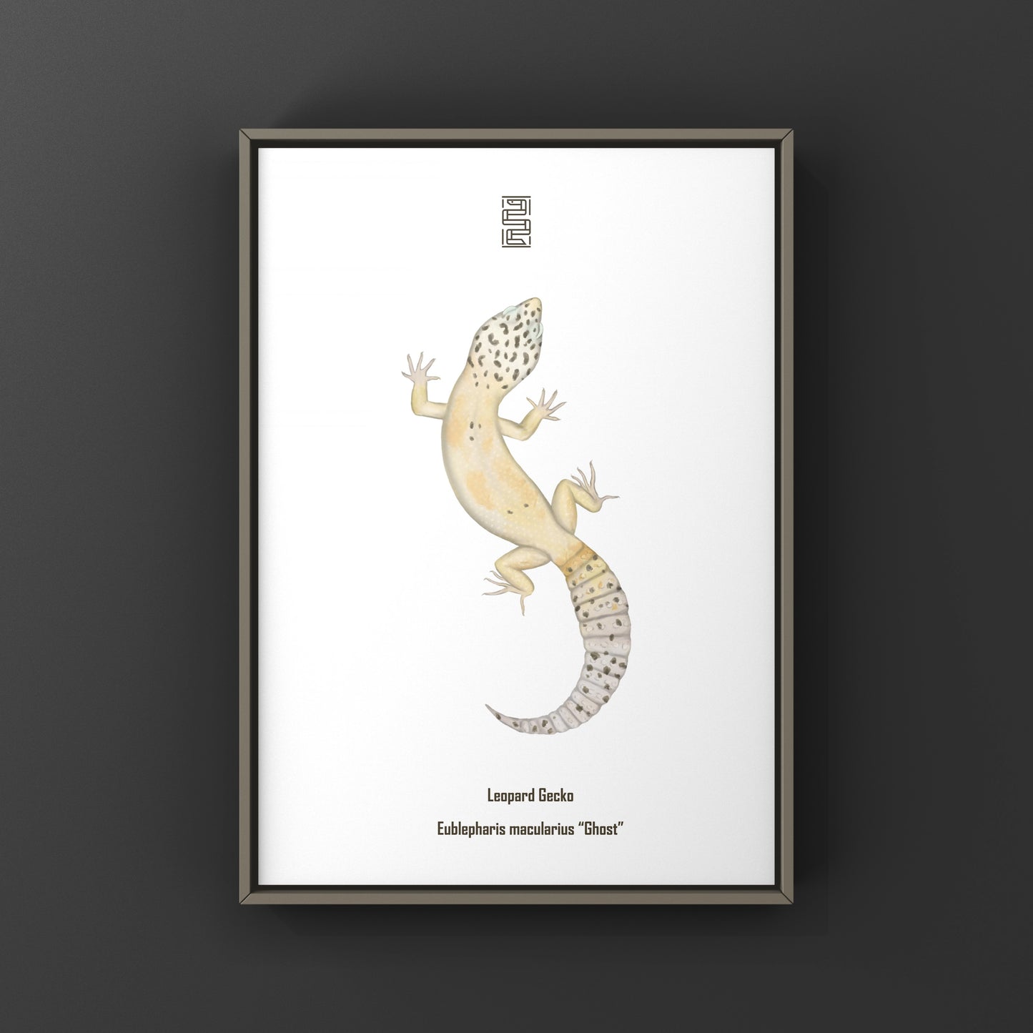Ghost leopard gecko art print featuring Eublepharis macularius, displayed on a neutral background, by The Silk Ranch.