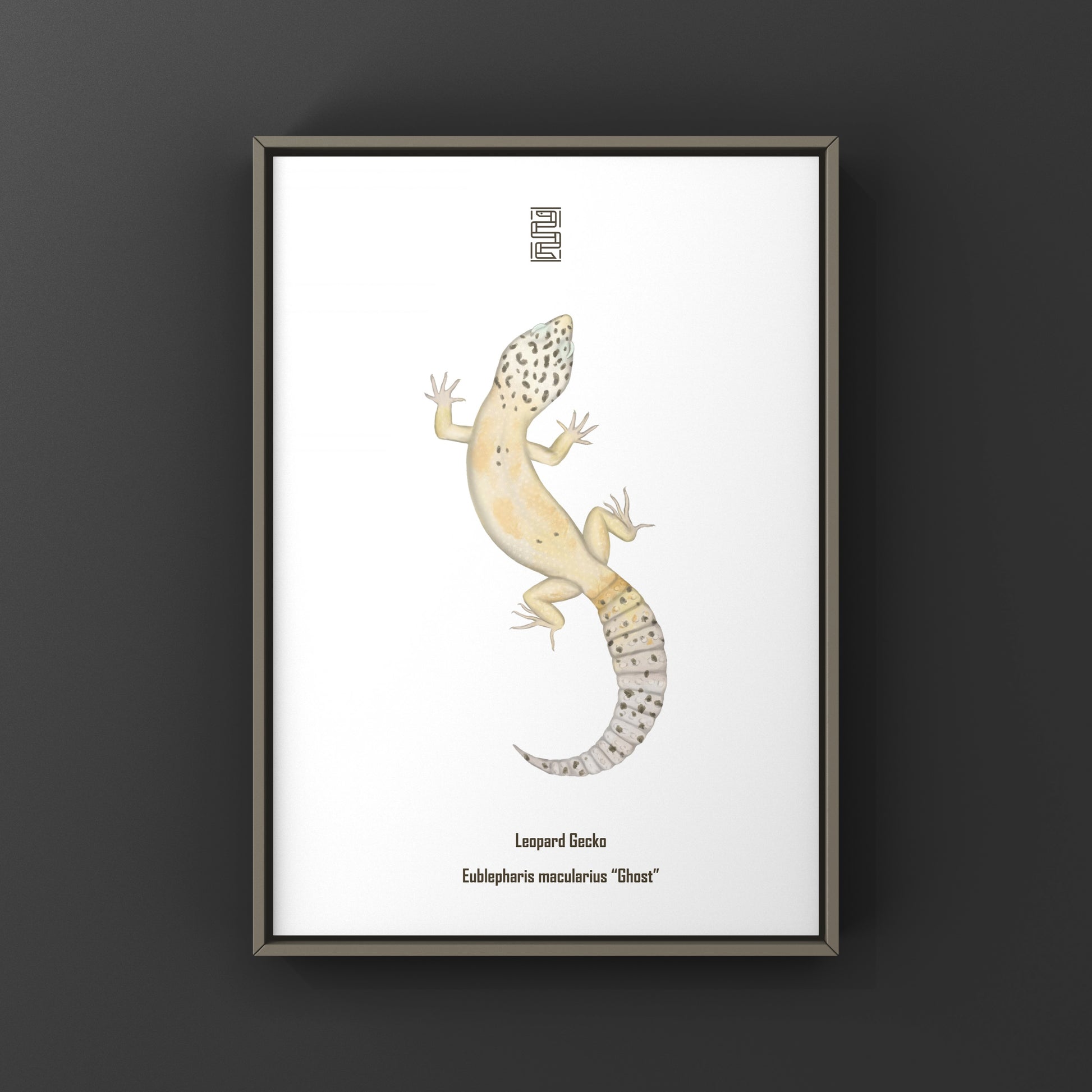 Ghost leopard gecko art print featuring Eublepharis macularius, displayed on a neutral background, by The Silk Ranch.