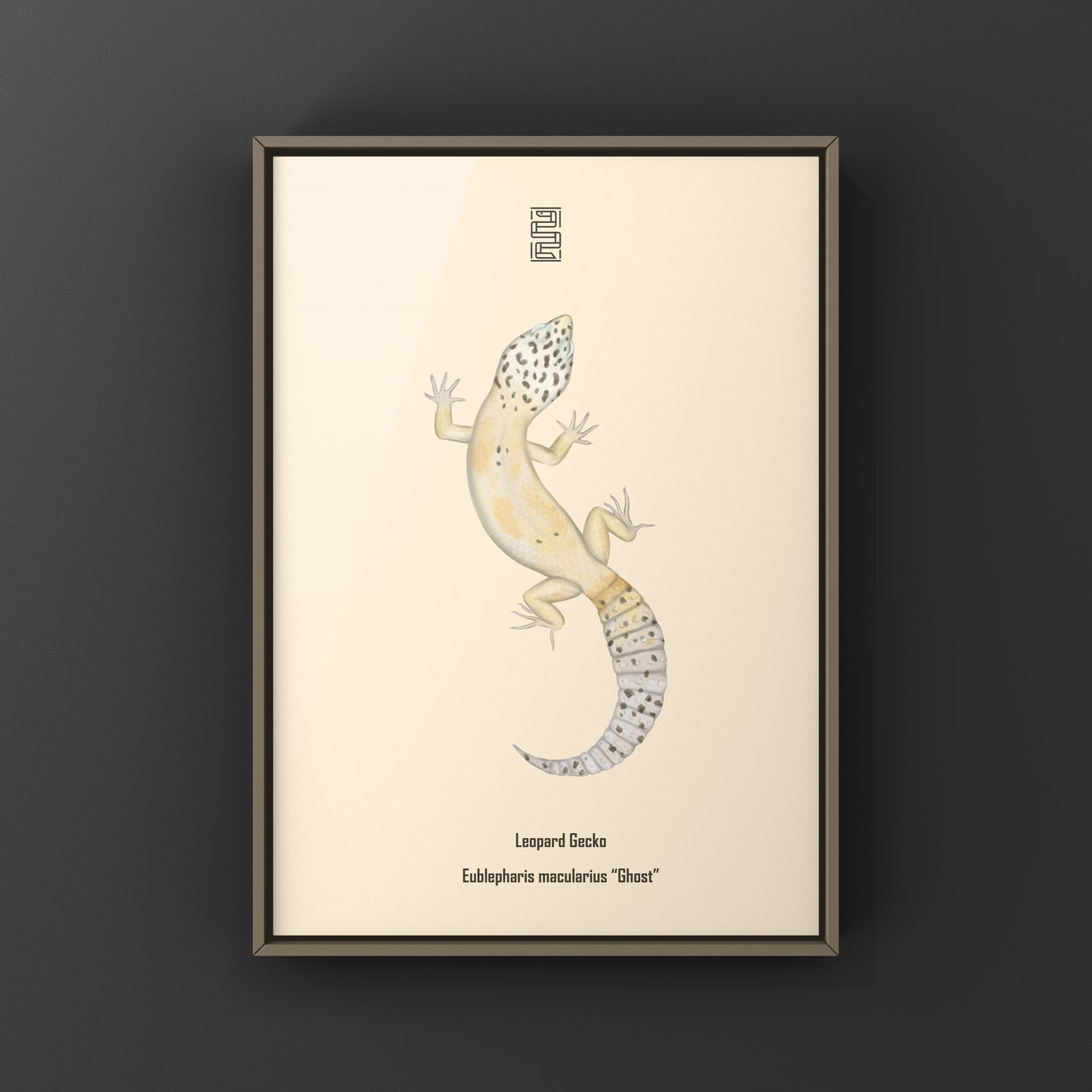 Ghost leopard gecko art print showcasing Eublepharis macularius with detailed, realistic illustration by The Silk Ranch