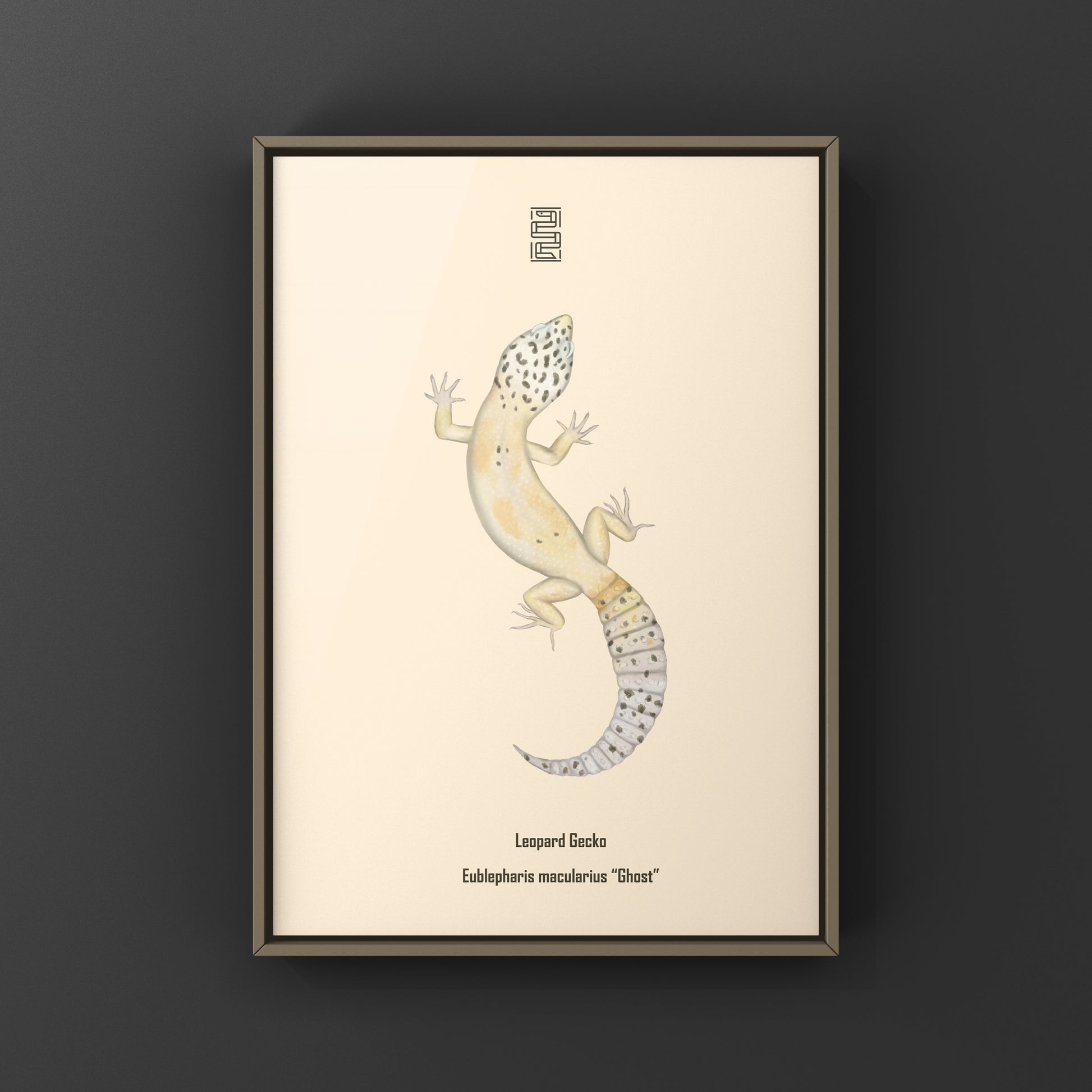 Ghost leopard gecko art print showcasing Eublepharis macularius with detailed, realistic illustration by The Silk Ranch