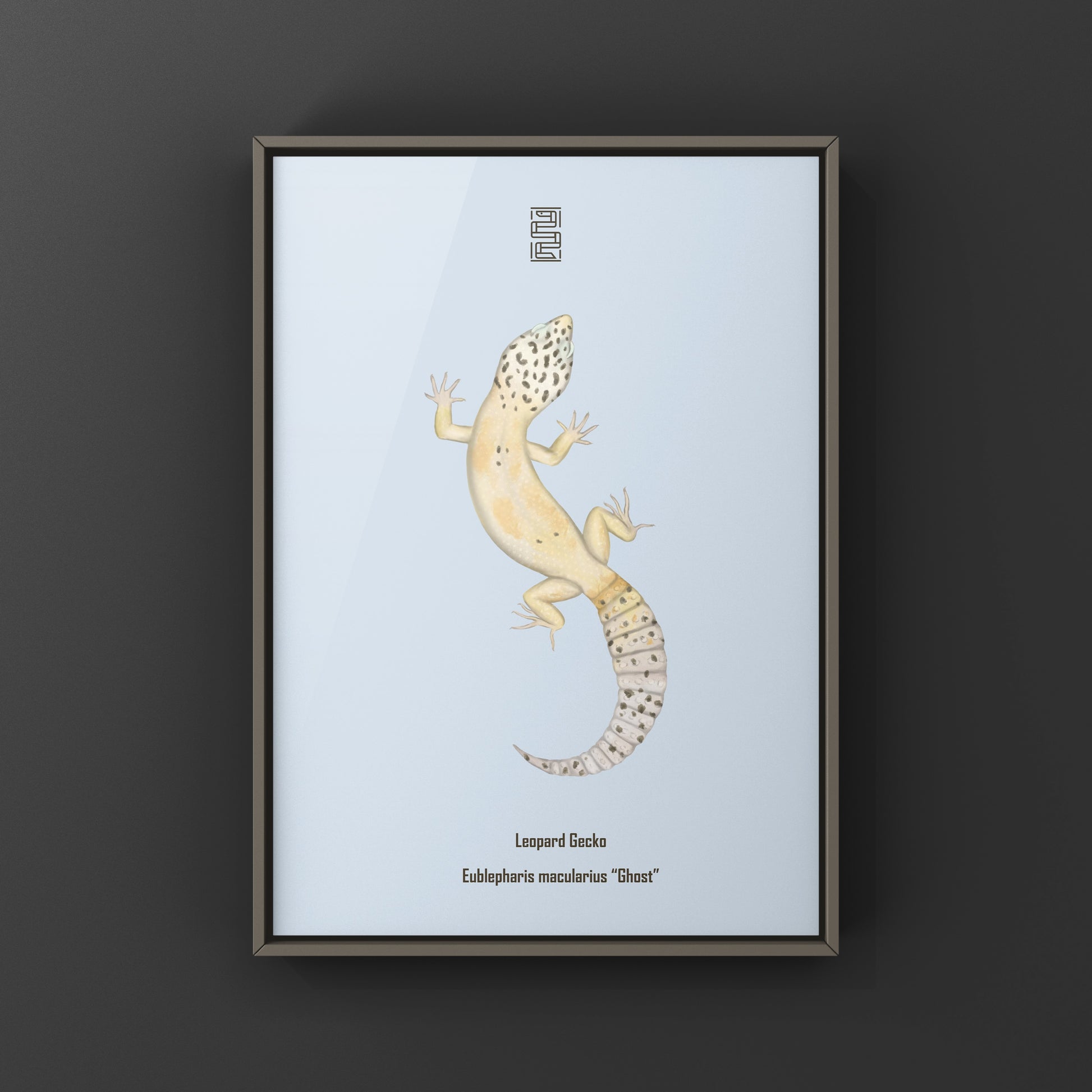 Ghost leopard gecko art print showing detailed illustration of Eublepharis macularius on high-quality paper.
