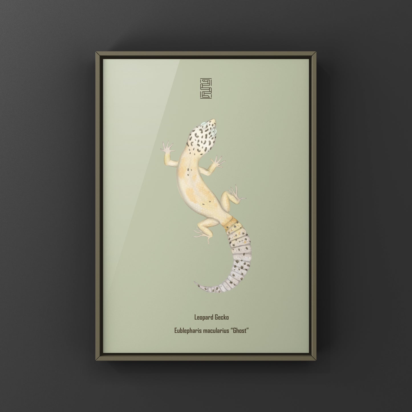 Ghost leopard gecko art print featuring detailed illustrations of Eublepharis macularius on high-quality paper.