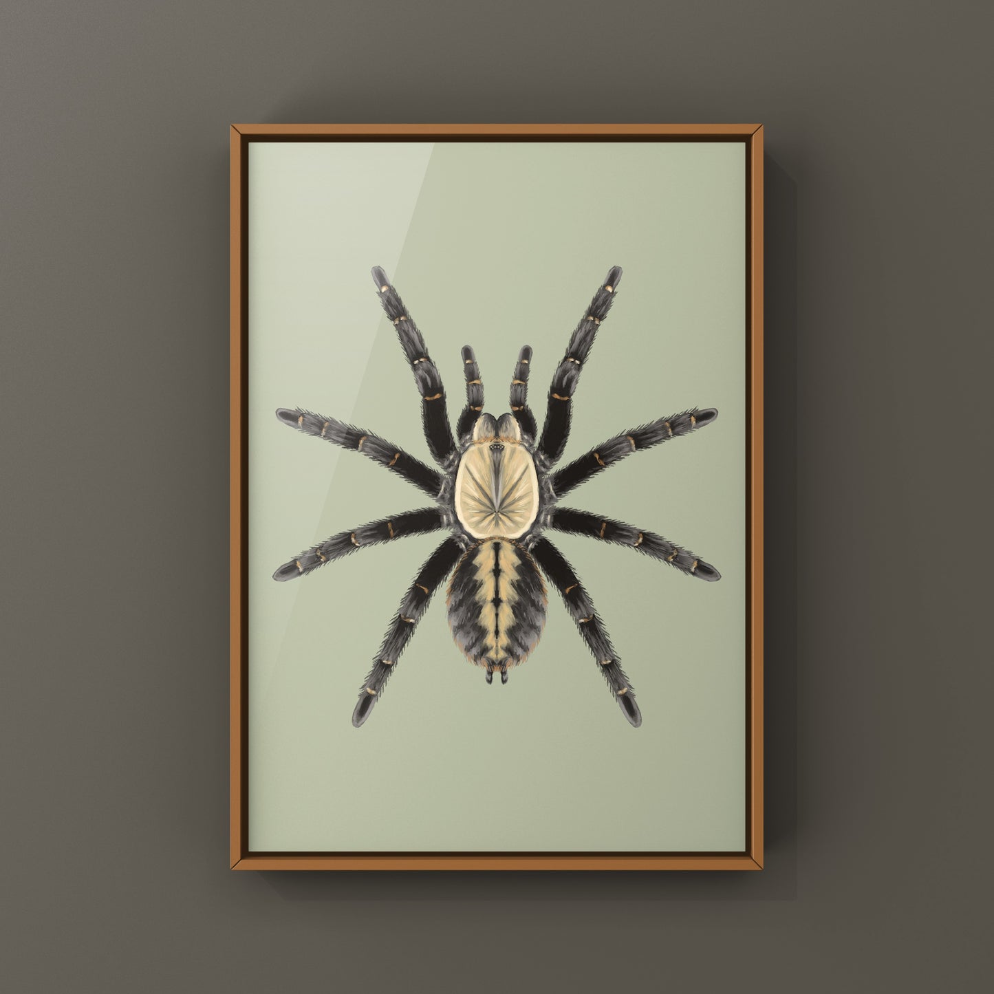 Art print of a Bach Ma Earth Tiger Tarantula (Cyriopagopus sp.) by The Silk Ranch, showcasing detailed spider artwork.
