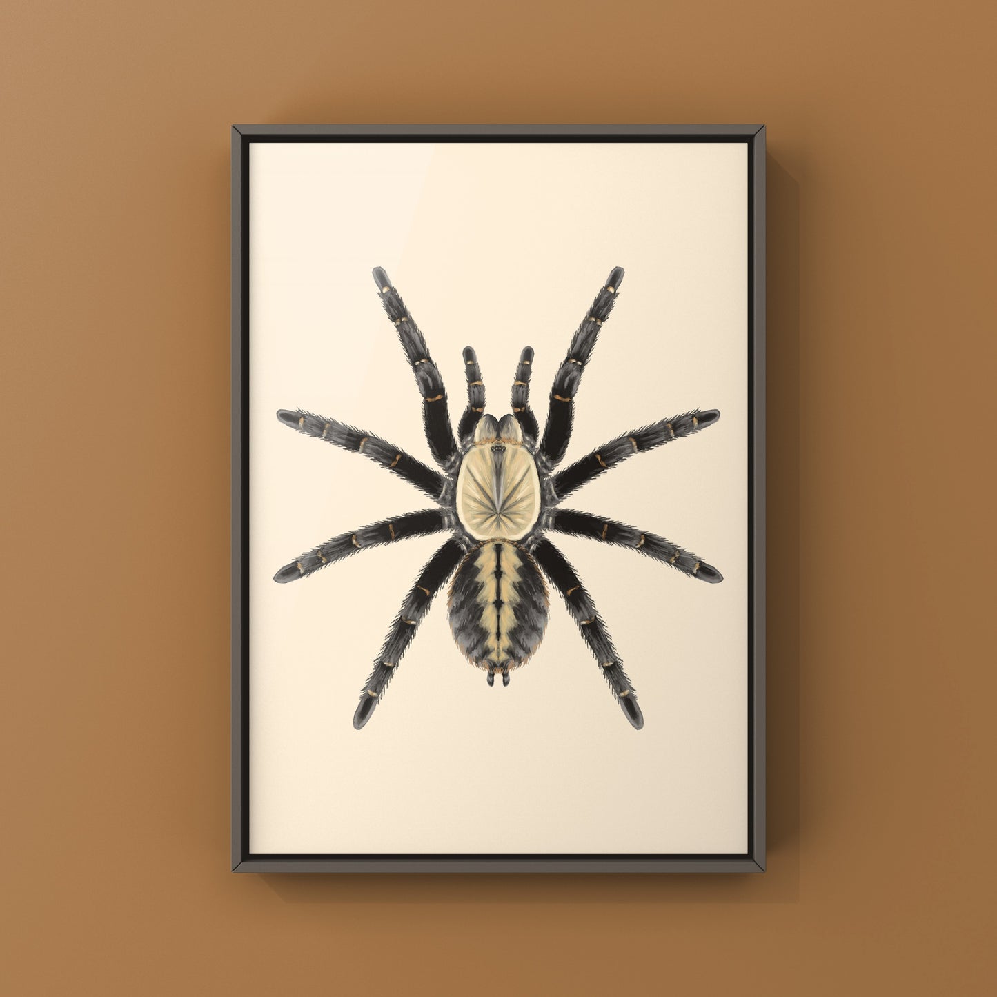Bach Ma Earth Tiger Tarantula art print by The Silk Ranch featuring detailed illustration of Cyriopagopus sp. Bach Ma spider on textured paper