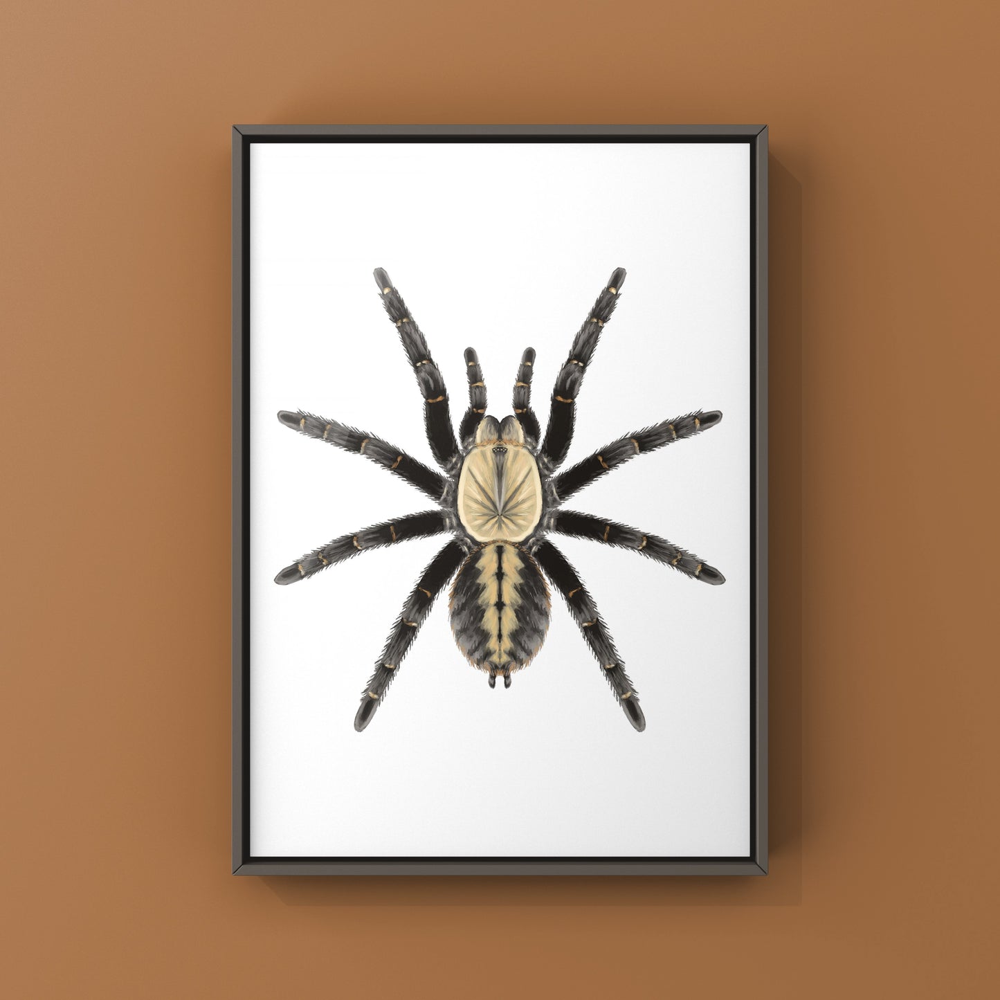 Bach Ma Earth Tiger Tarantula art print by The Silk Ranch showing detailed Cyriopagopus sp. tarantula illustration on textured paper