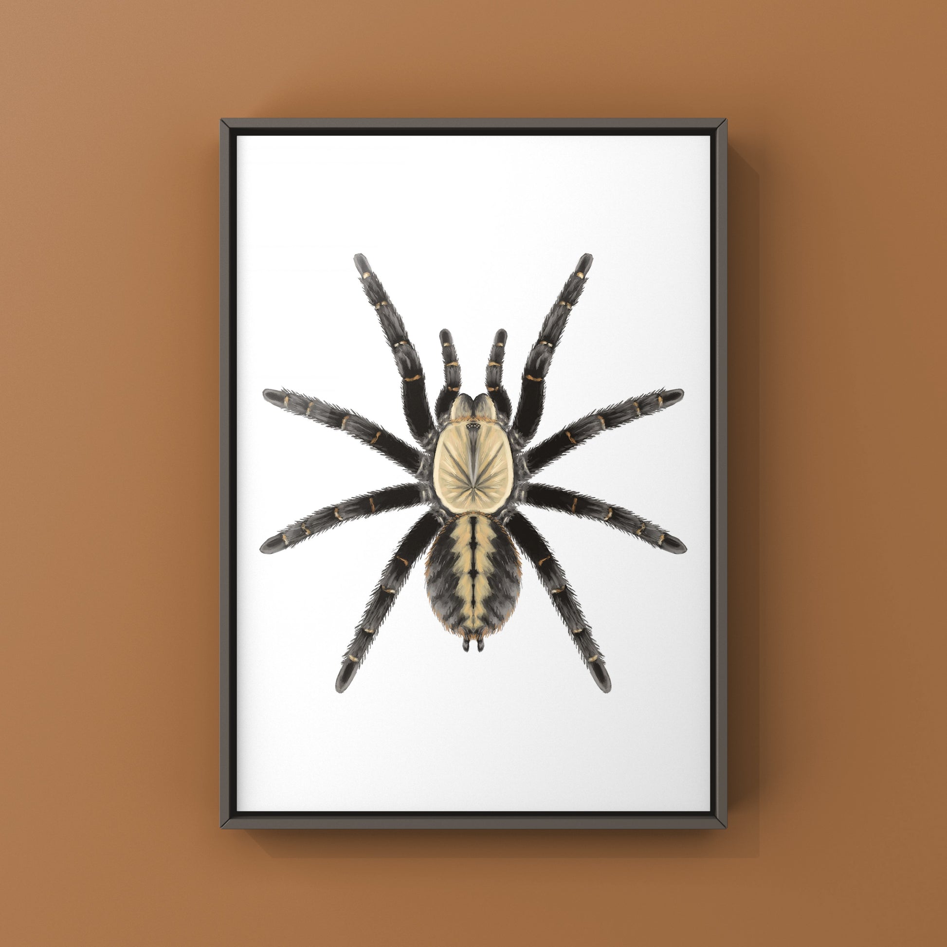 Bach Ma Earth Tiger Tarantula art print by The Silk Ranch showing detailed Cyriopagopus sp. tarantula illustration on textured paper