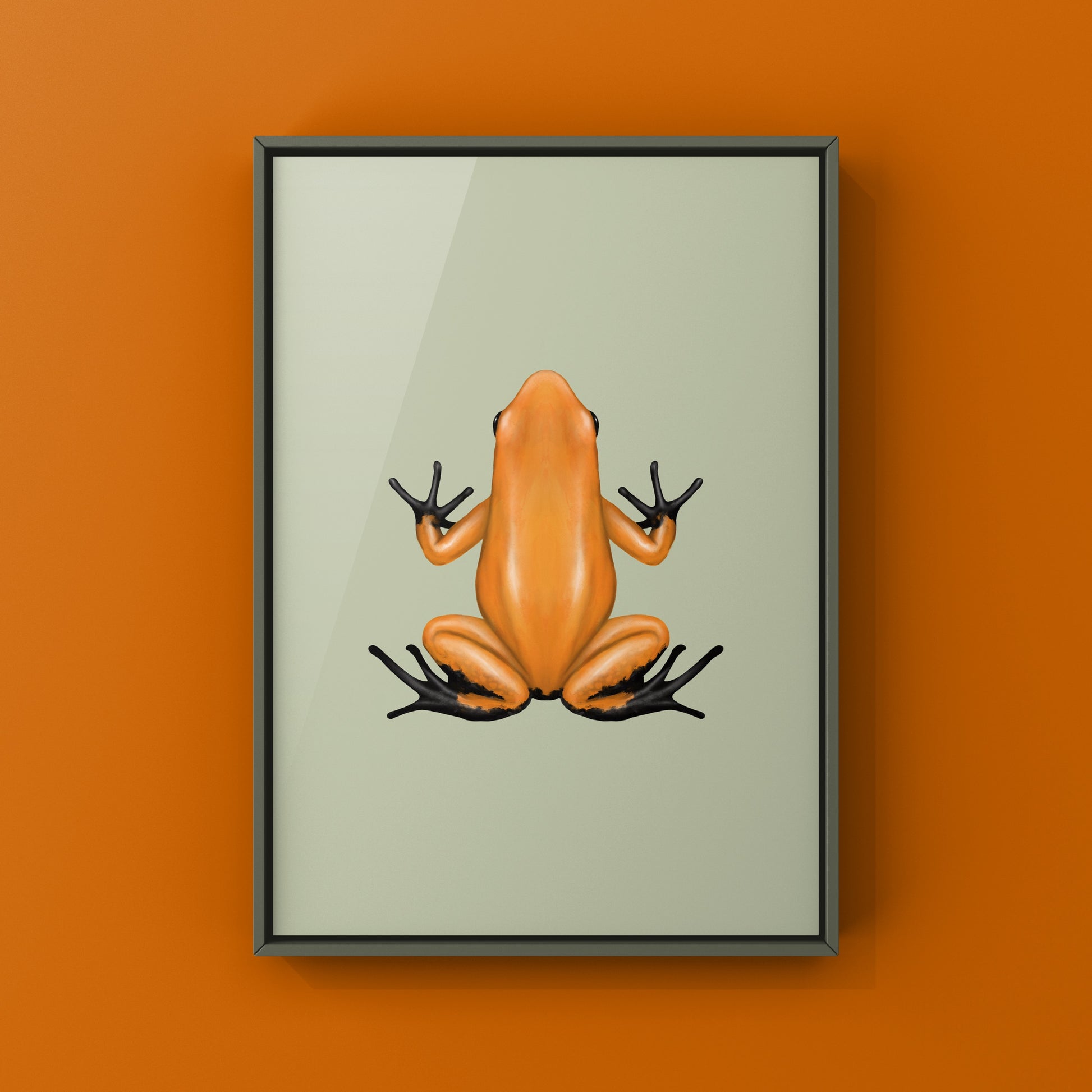 Orange and black Golden Poison Frog art print featuring the Phyllobates terribilis species by The Silk Ranch