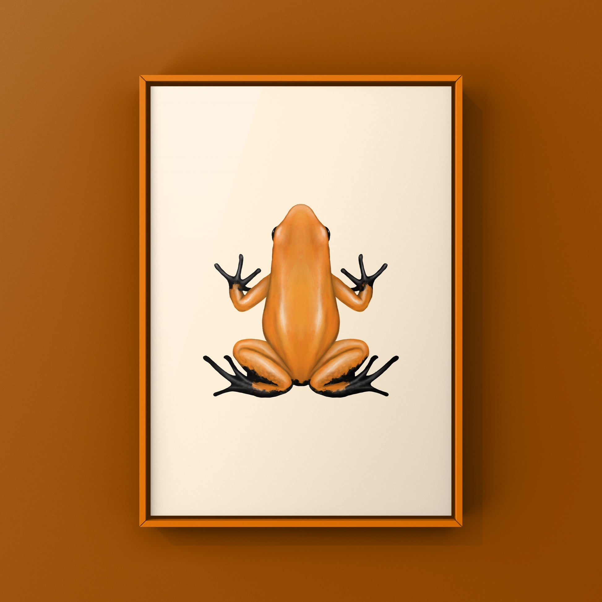 Orange and black Footed Golden Poison Frog art print by The Silk Ranch showing detailed, vibrant frog artwork on white background.