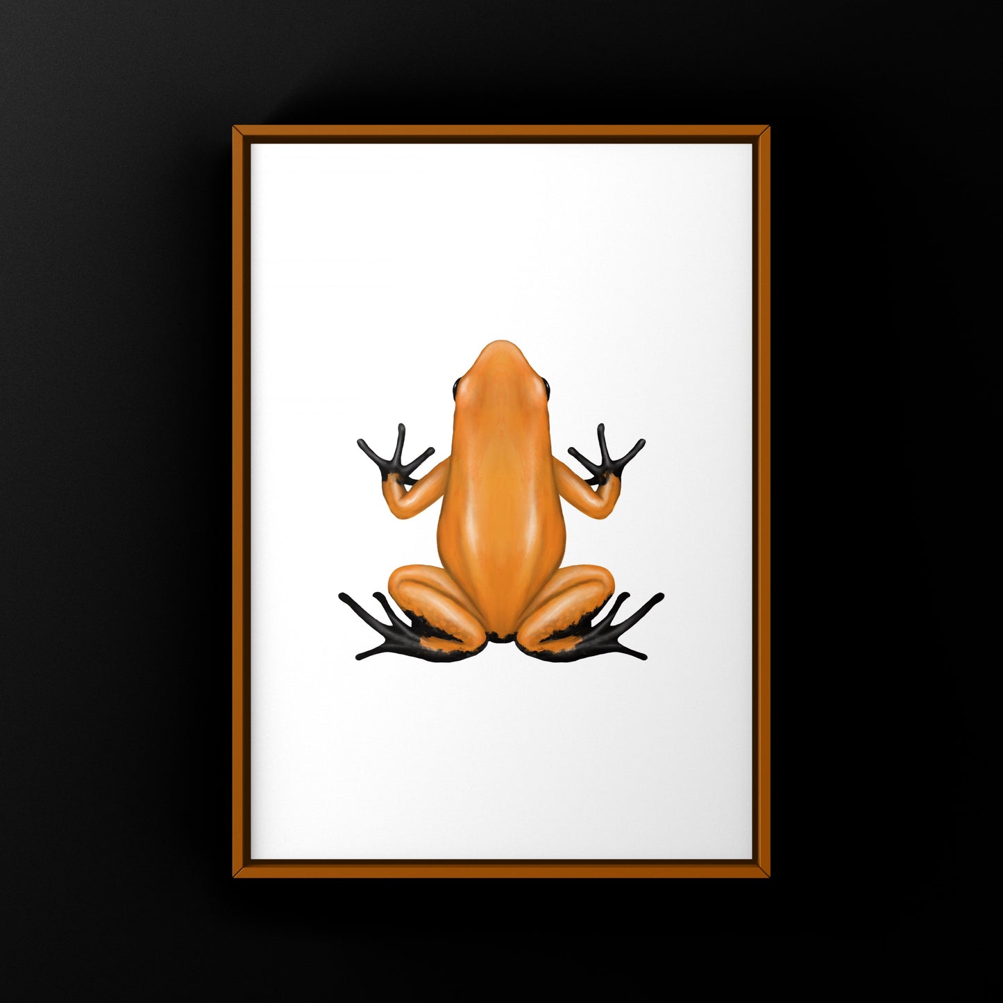 Orange Blackfoot Golden Poison Frog art print featuring vibrant Phyllobates terribilis on a neutral background by The Silk Ranch