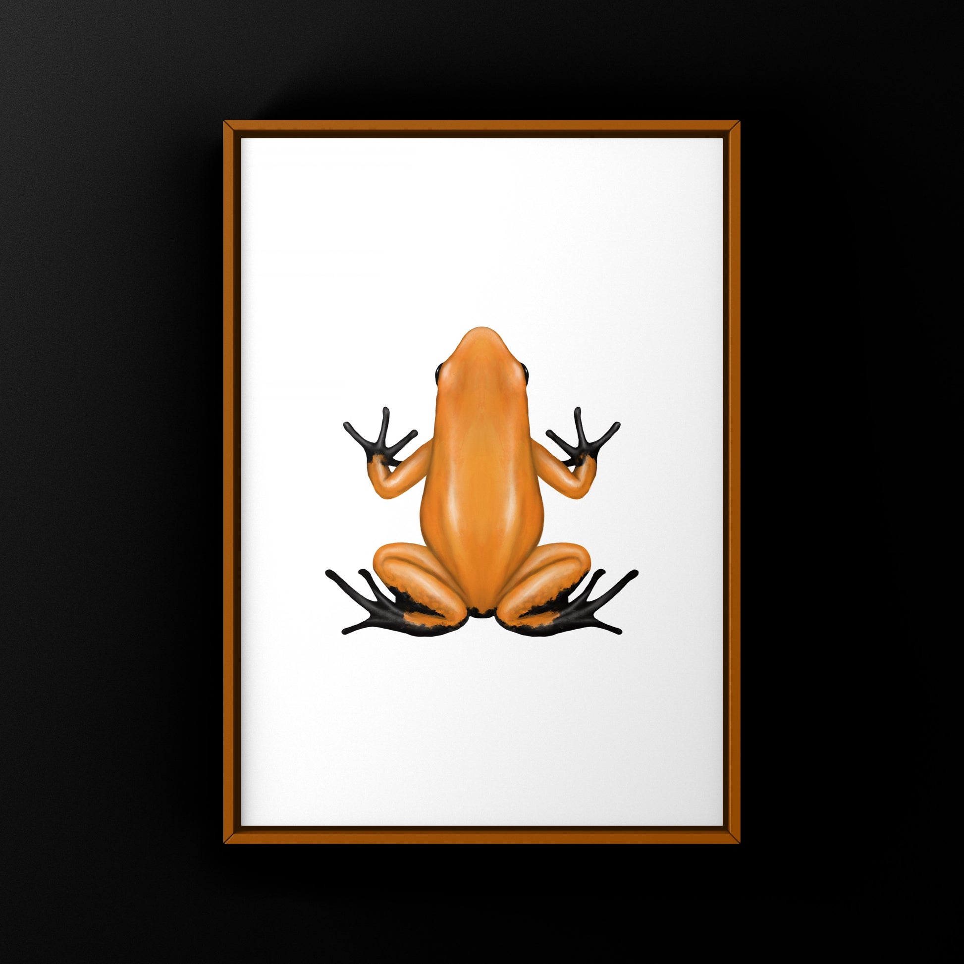Orange Blackfoot Golden Poison Frog art print featuring vibrant Phyllobates terribilis on a neutral background by The Silk Ranch