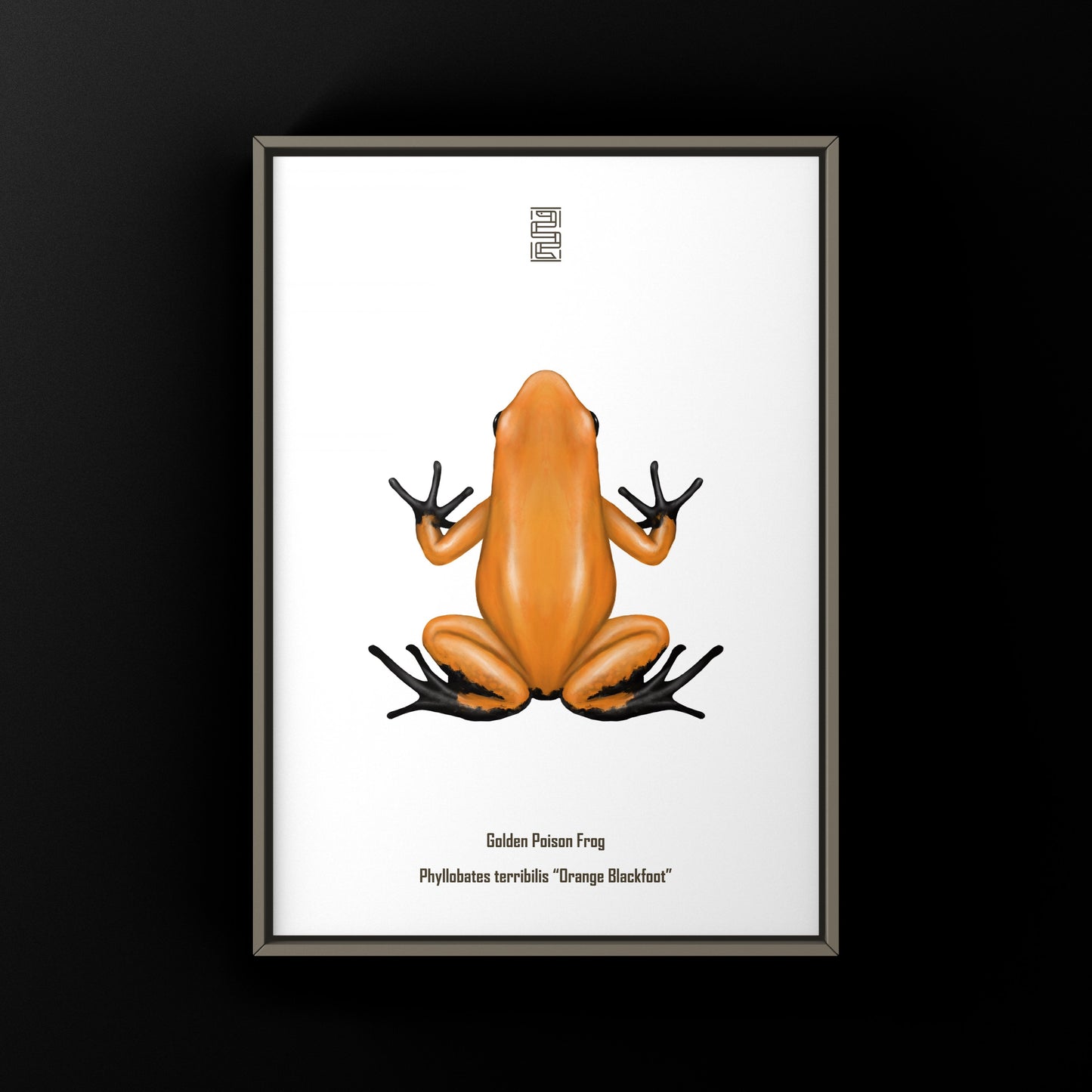 Colorful art print of a Blackfoot Golden Poison Frog (Phyllobates terribilis) by The Silk Ranch featuring vibrant orange and black patterns.