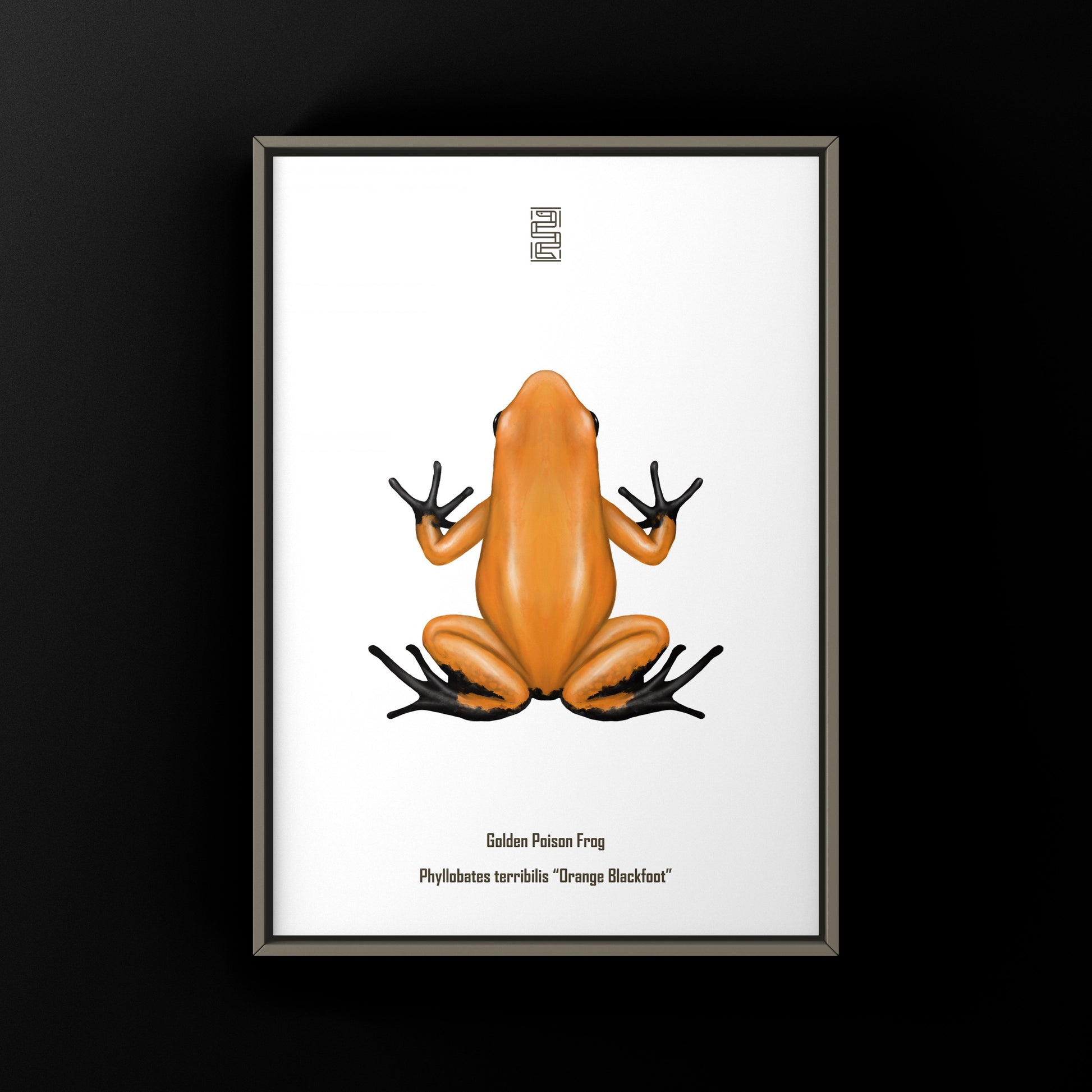 Colorful art print of a Blackfoot Golden Poison Frog (Phyllobates terribilis) by The Silk Ranch featuring vibrant orange and black patterns.