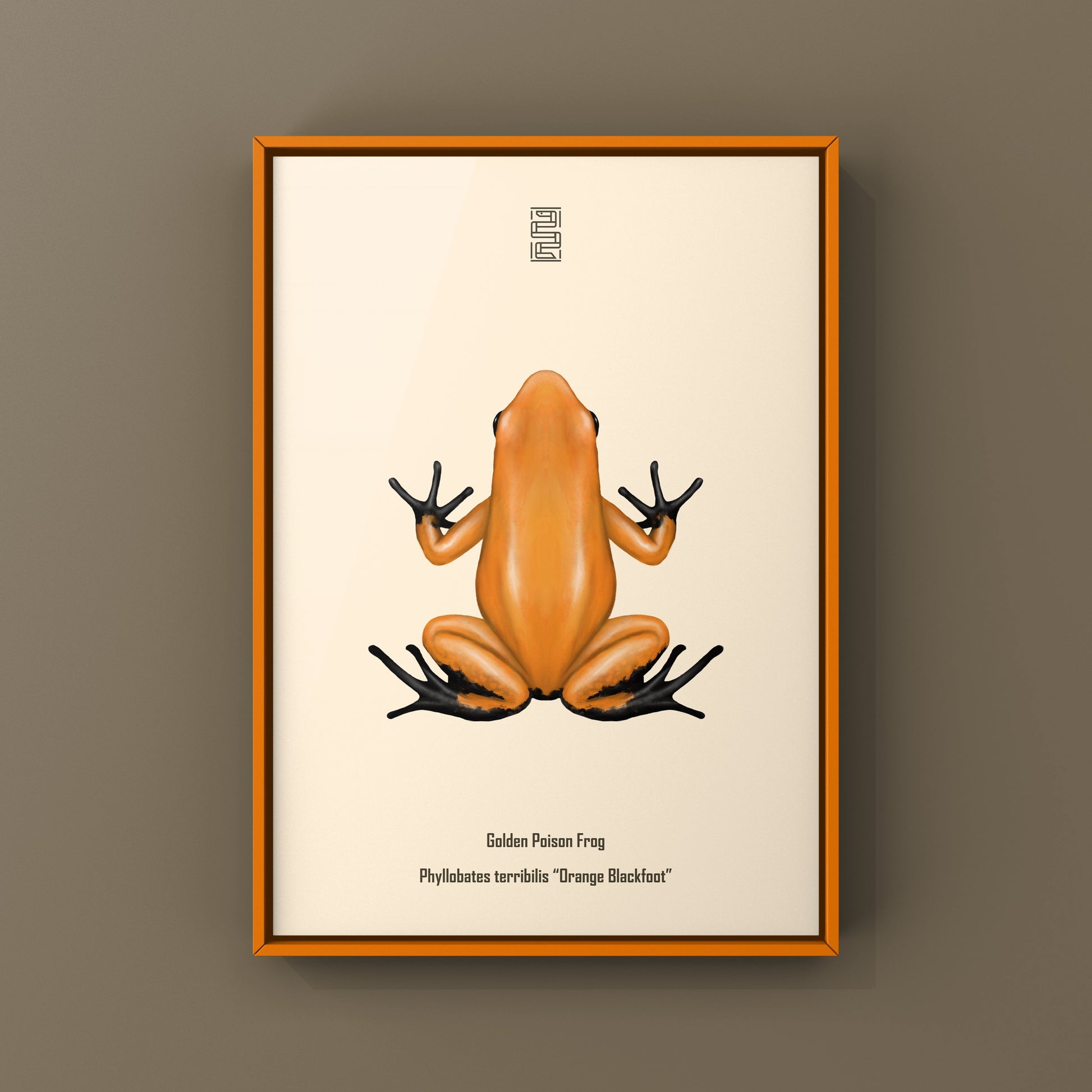 Orange and black Golden Poison Frog art print featuring Phyllobates terribilis, displayed with vibrant colors and detailed design.