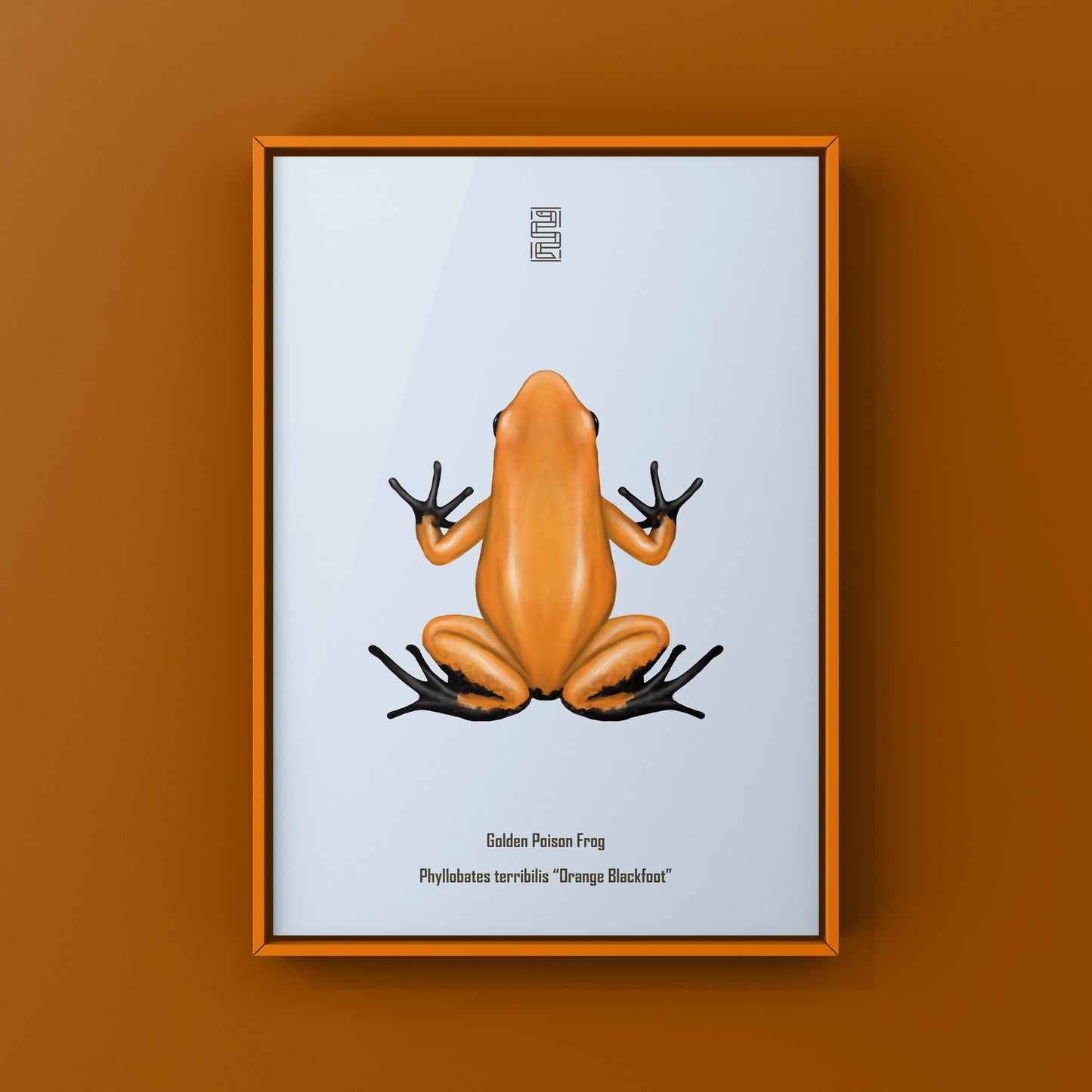 Orange and black Golden Poison Frog art print featuring the Phyllobates terribilis species, displayed with vibrant colors and detailed illustration.