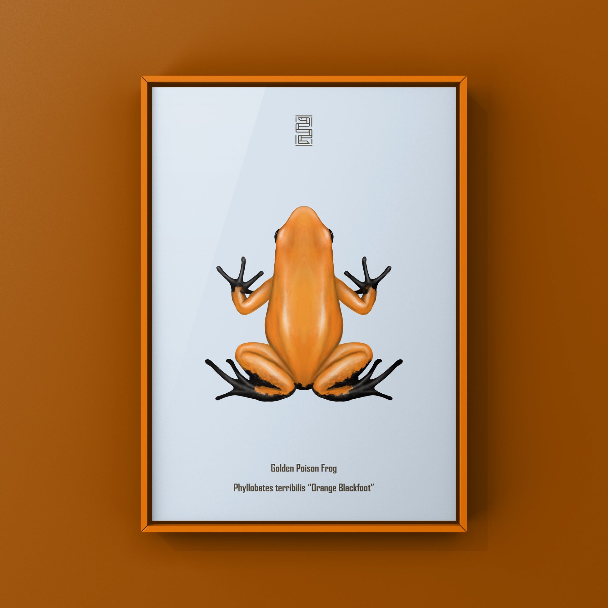 Orange and black Golden Poison Frog art print featuring the Phyllobates terribilis species, displayed with vibrant colors and detailed illustration.