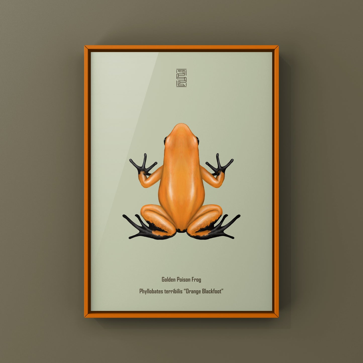 Orange and black Golden Poison Frog art print by The Silk Ranch, showcasing vibrant Phyllobates terribilis details on high-quality paper.